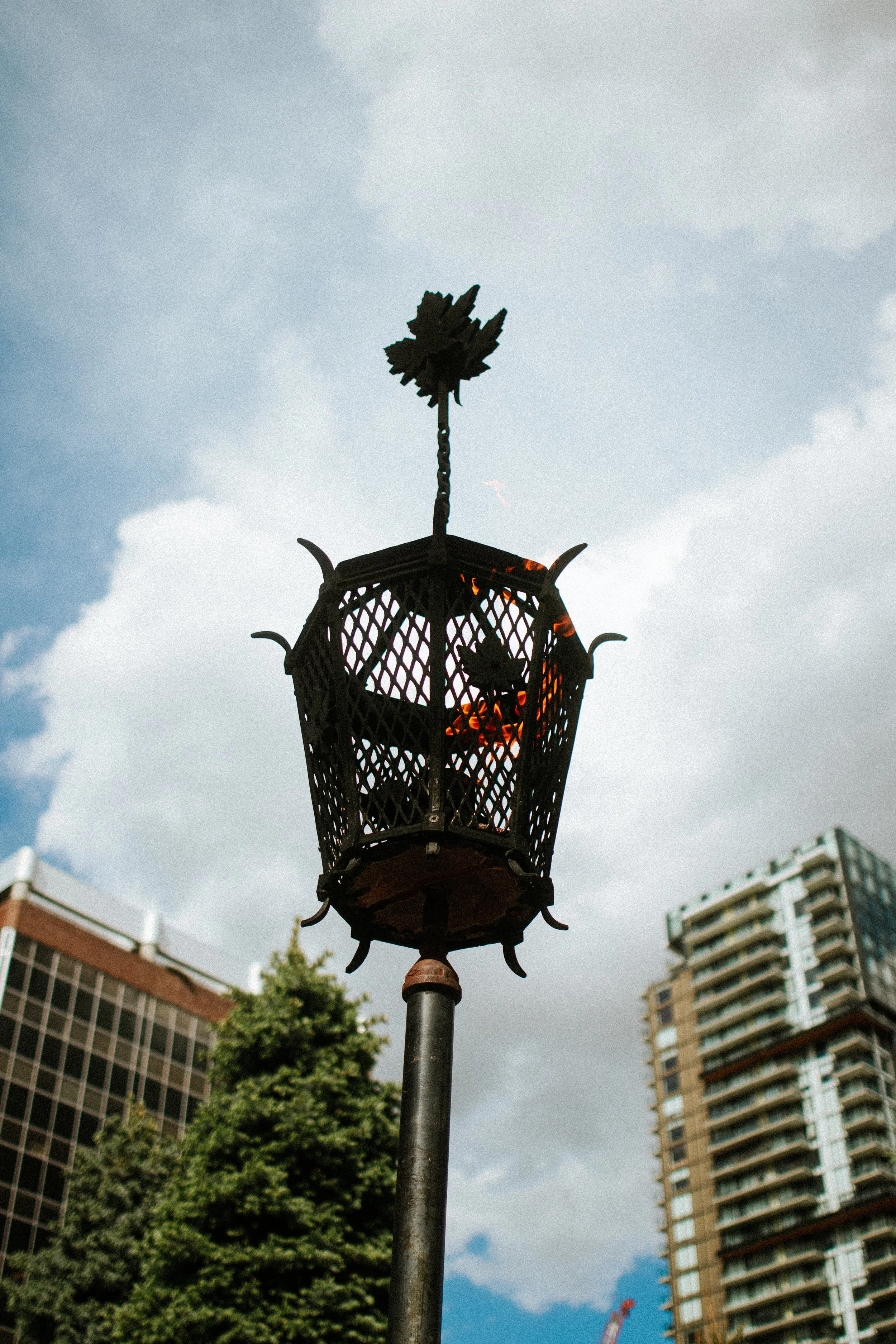 canon-r50v-24mm-18-priscila-nightingale-voltando-a-fotografar-20.jpg