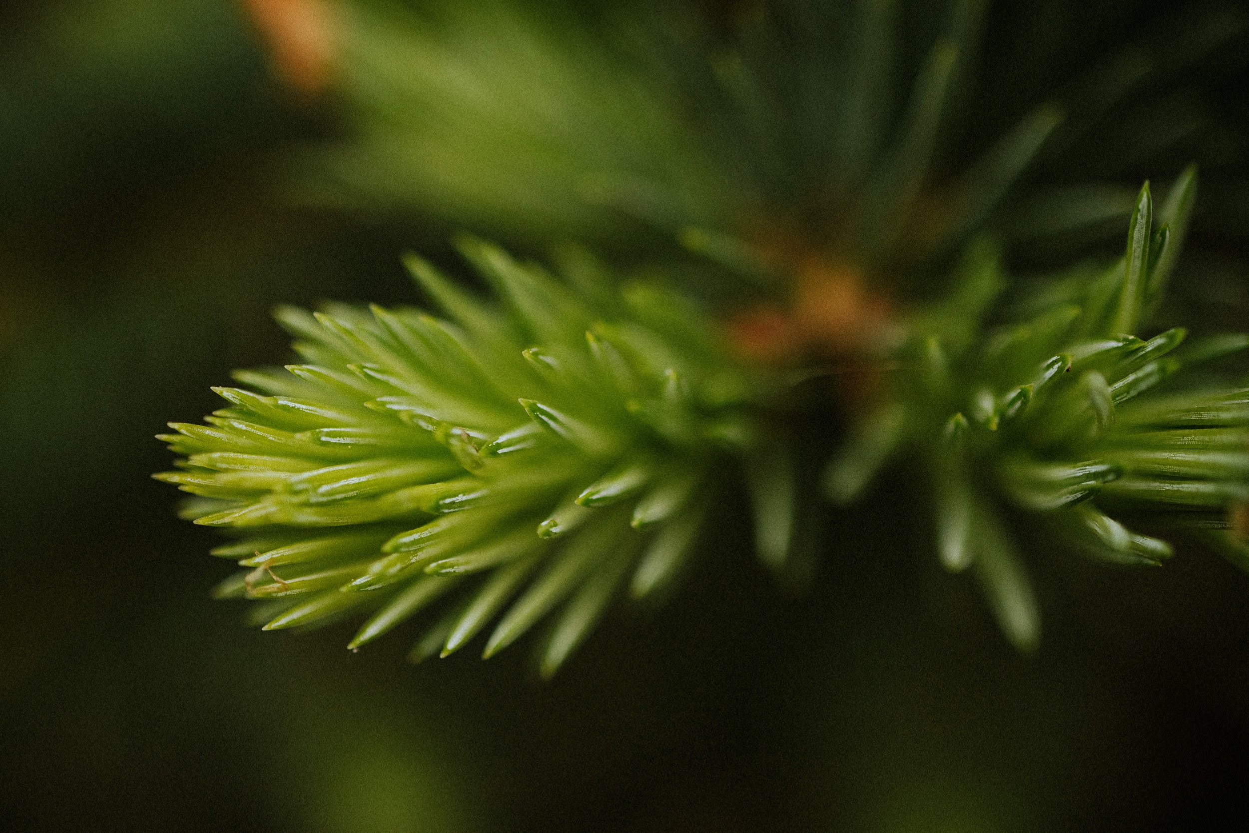 20260606_24mm_PrimeirasFotos-25.jpg