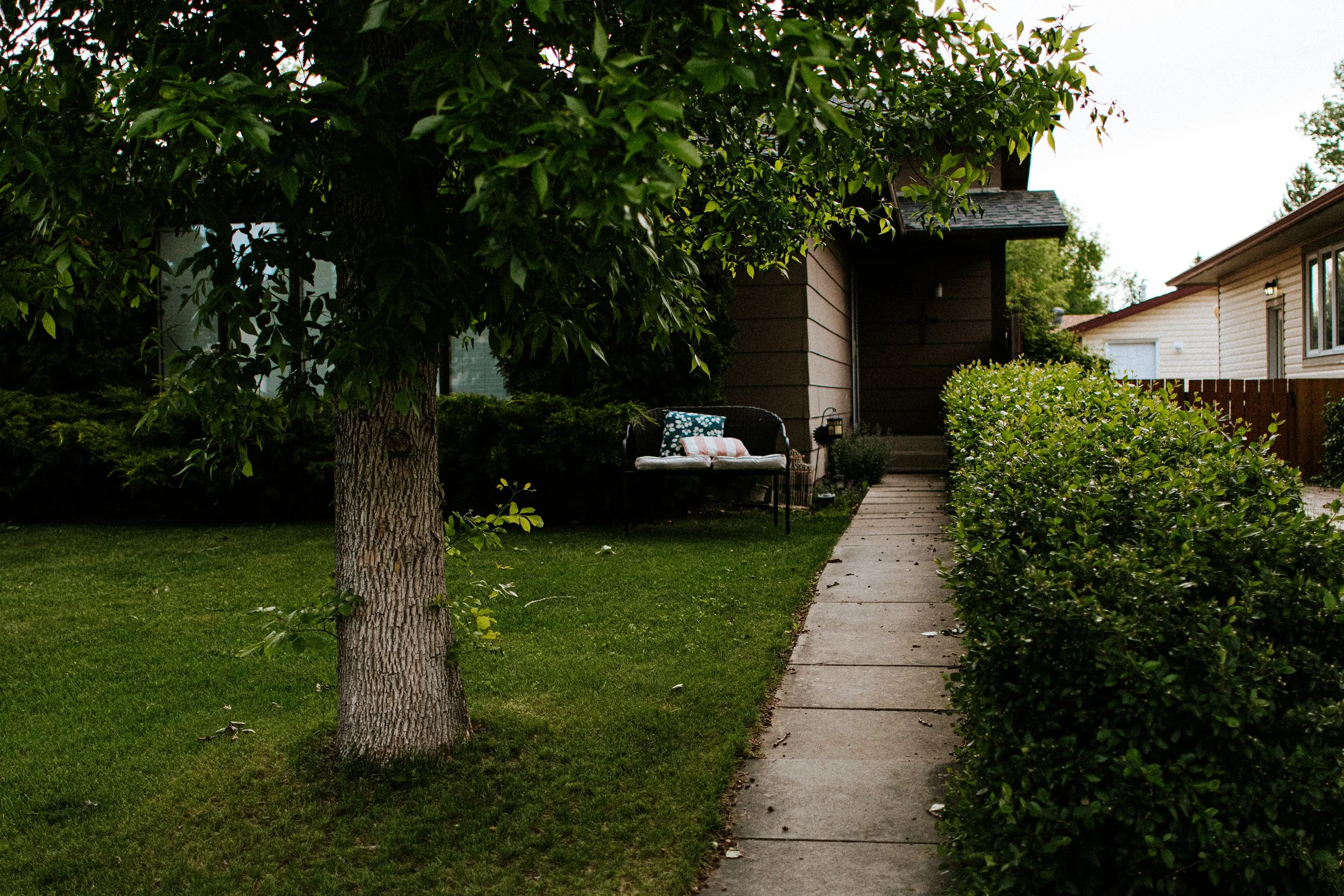 20260606_24mm_PrimeirasFotos-23.jpg