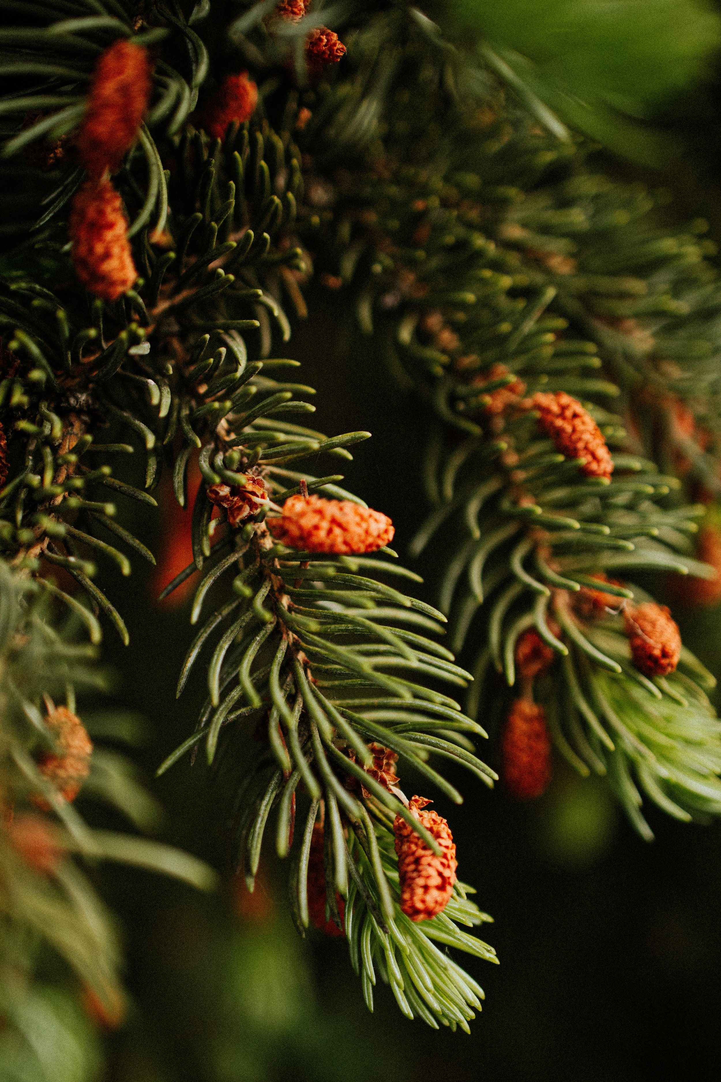 20260606_24mm_PrimeirasFotos-30.jpg