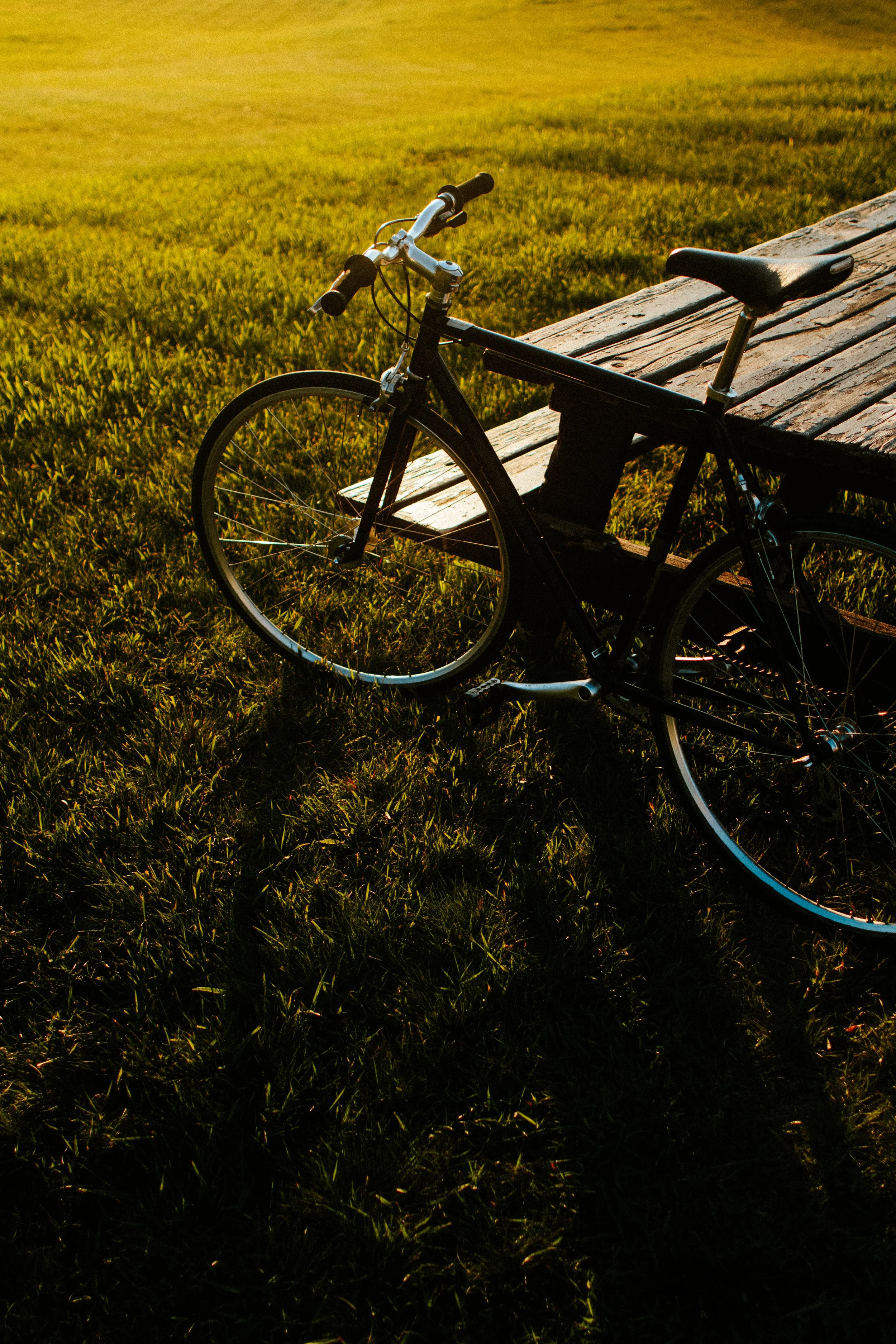 fixie-bike-calgary-canada-pedalando-no-canada-ricardo-franzen-11.jpg