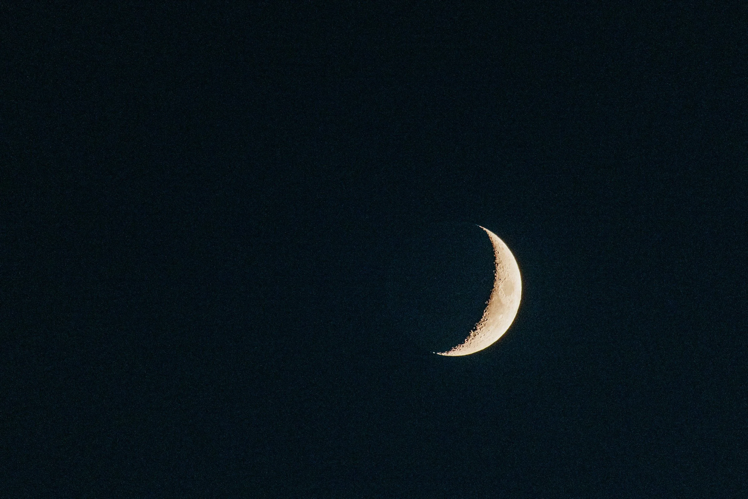 night-calgary-ricardo-franzen-filmmaker-film-canon-r5c-1.jpg