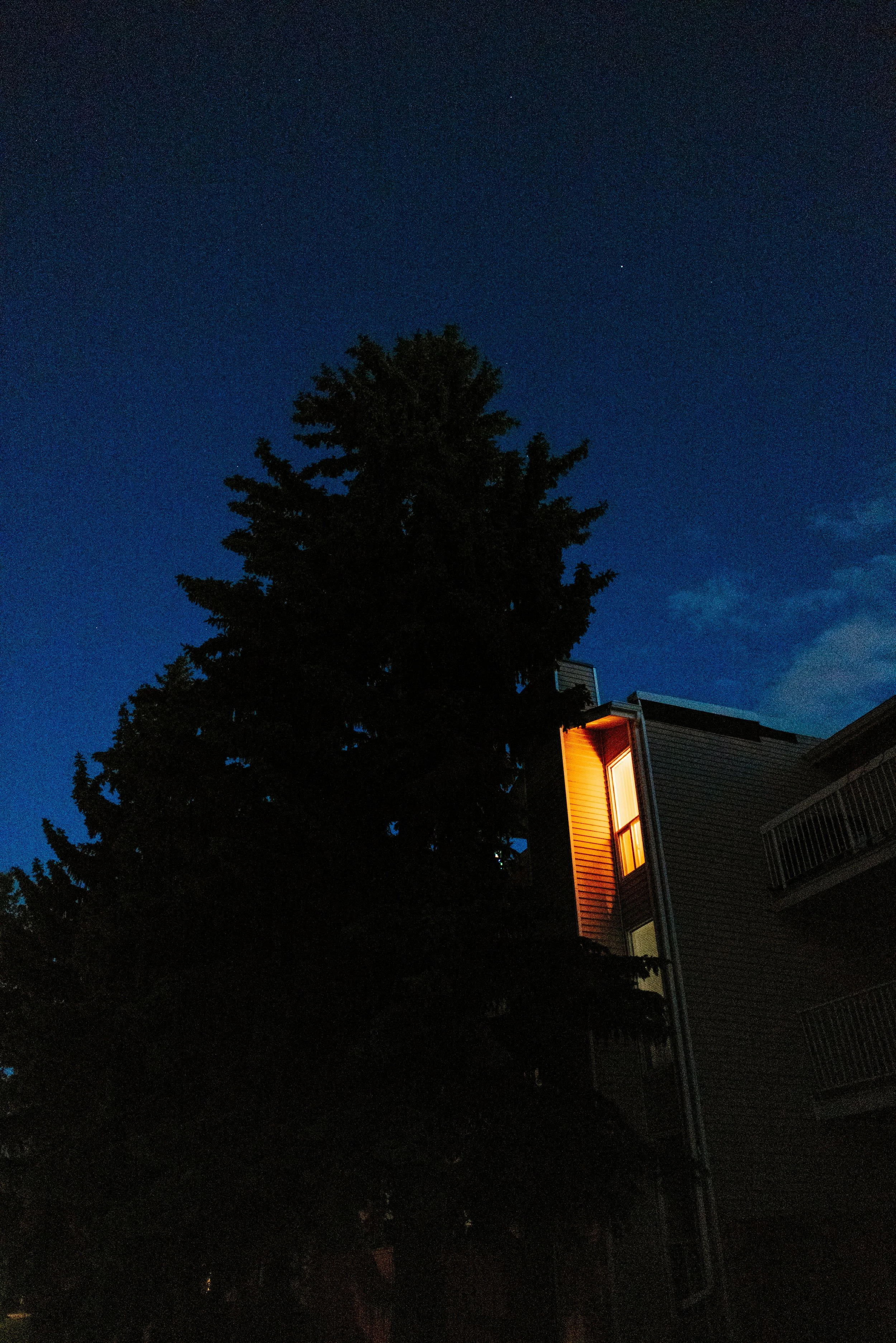 night-calgary-ricardo-franzen-filmmaker-film-canon-r5c-3.jpg