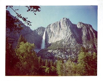Yosemite in Spring