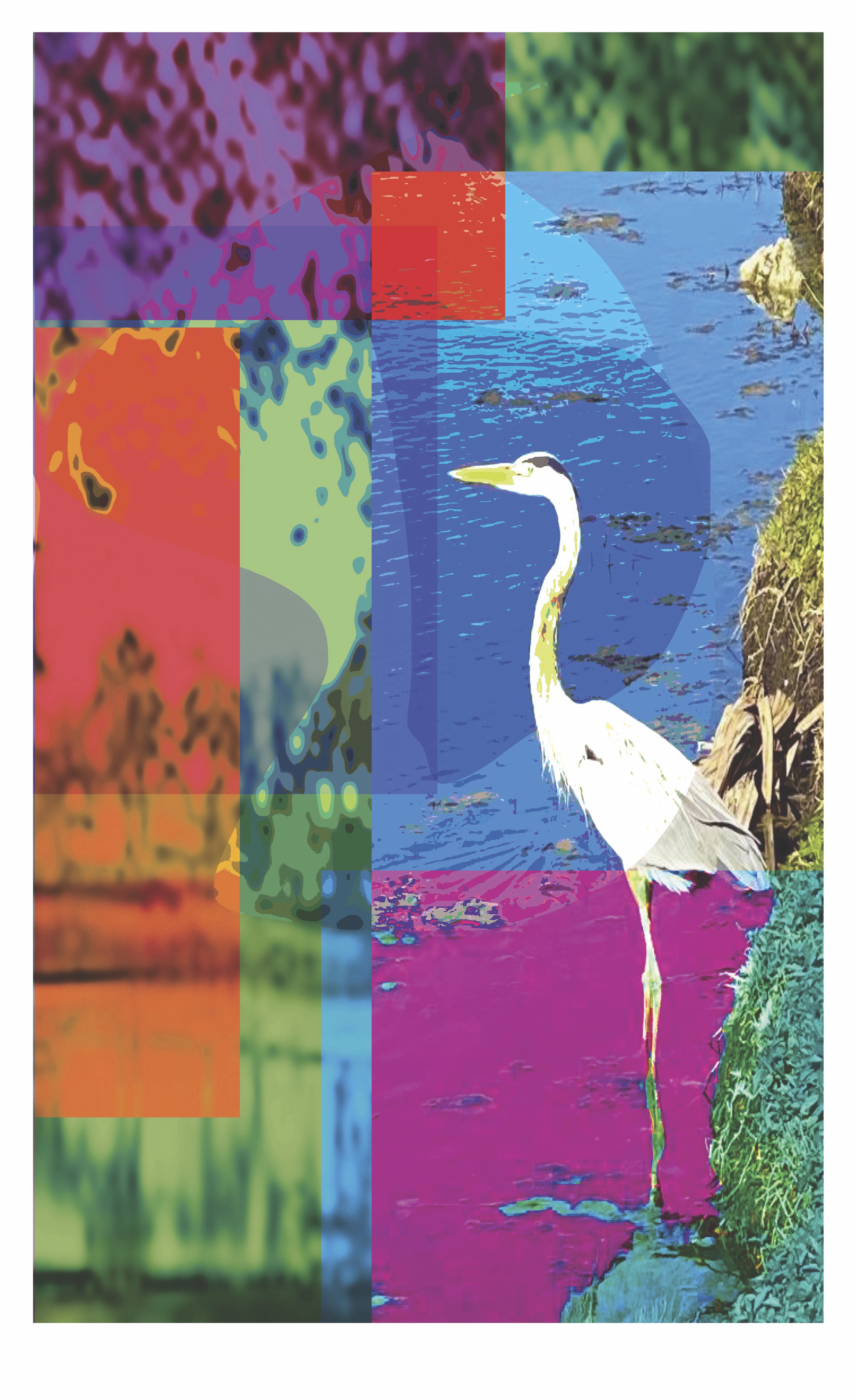 no R'egrets.jpg
