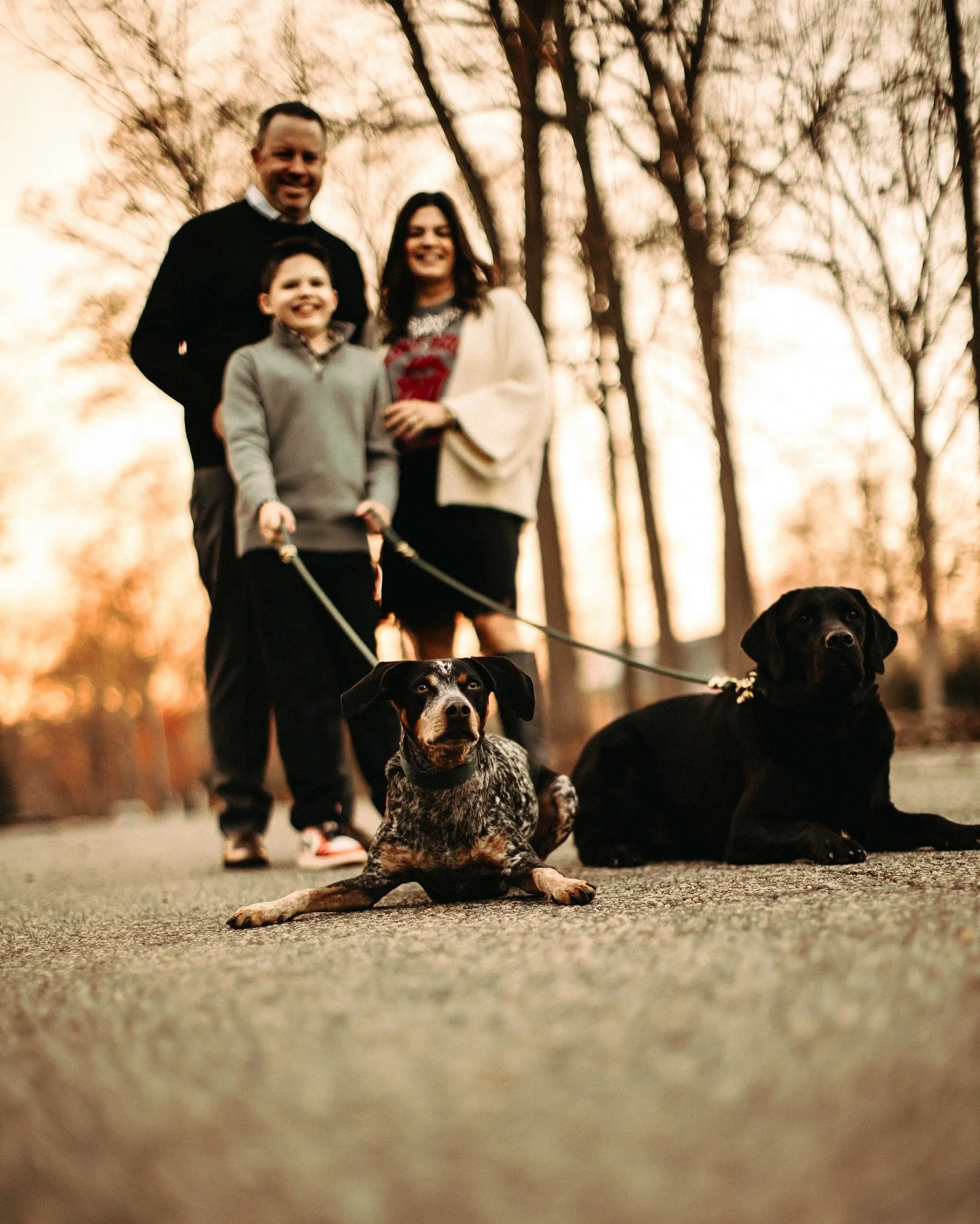 I&rsquo;ll be honest I think all your kids are really cute and all but if you bring me cute puppies to a shoot I will obsess over them and make them the stars of the show- at least for a few shots 😉&hellip; love these doggie focused shots! 

#njfami