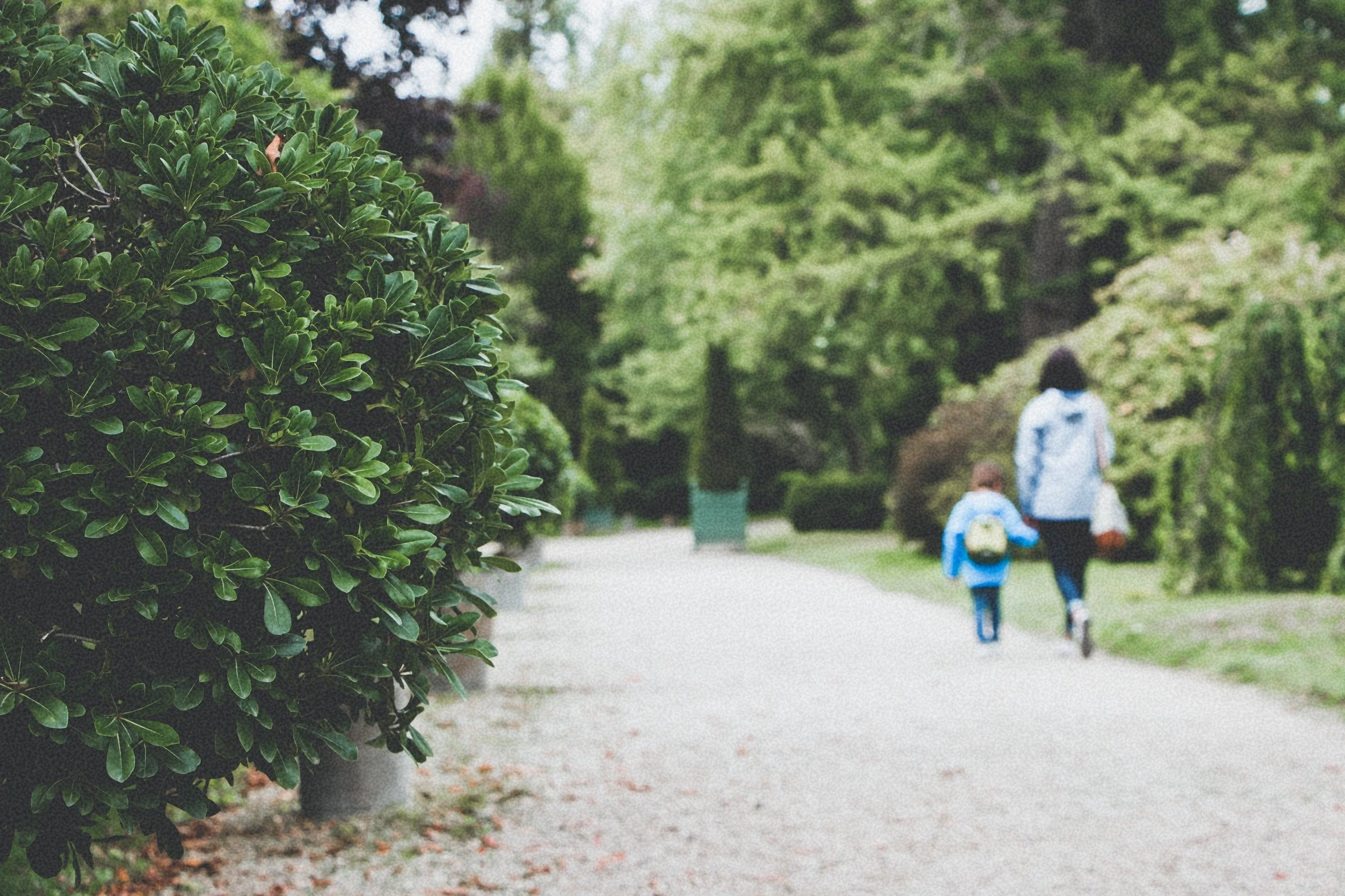 laurent-peignault-357986-unsplash+%281%29.jpg