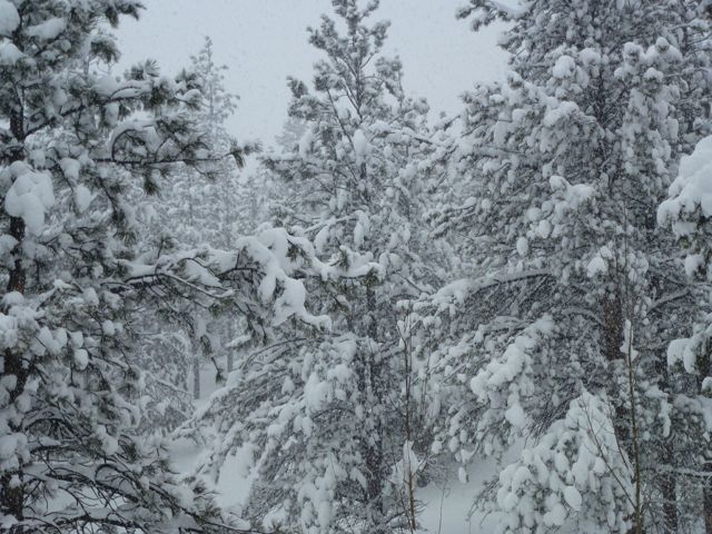 cowinter_0041.jpg