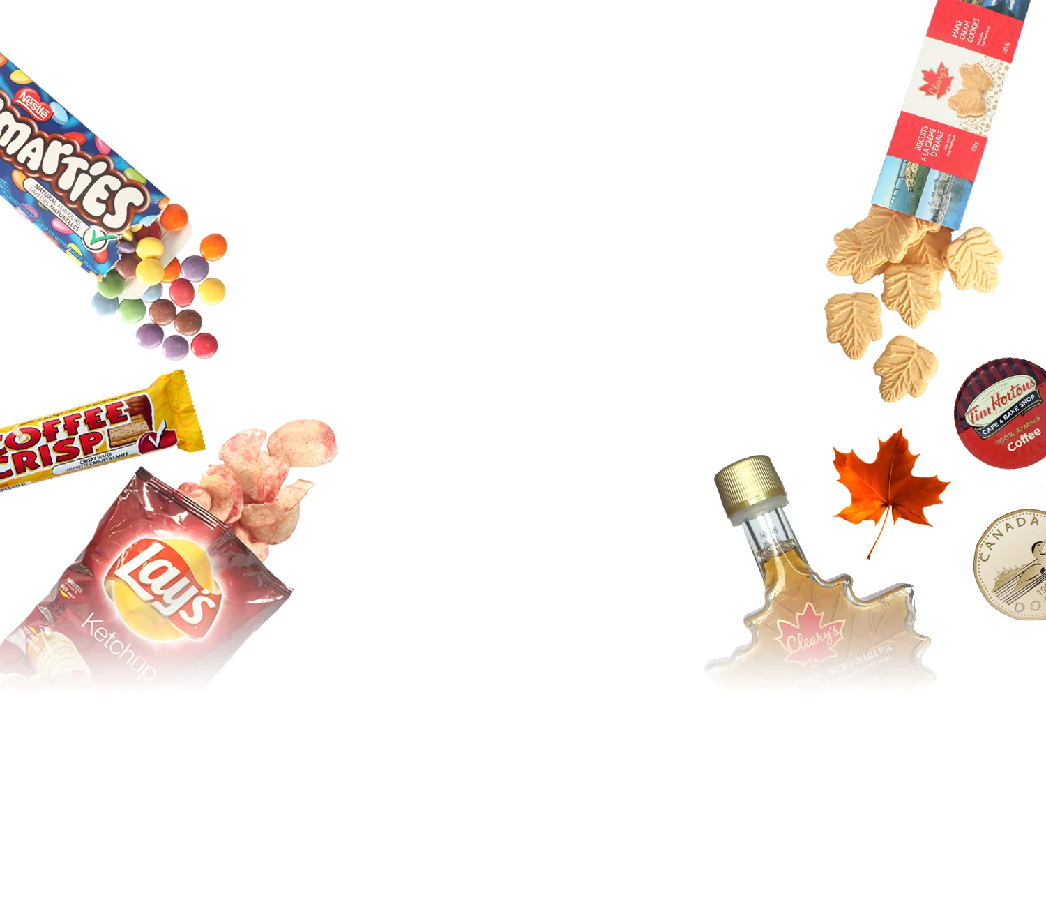 truenorthheader5.jpg