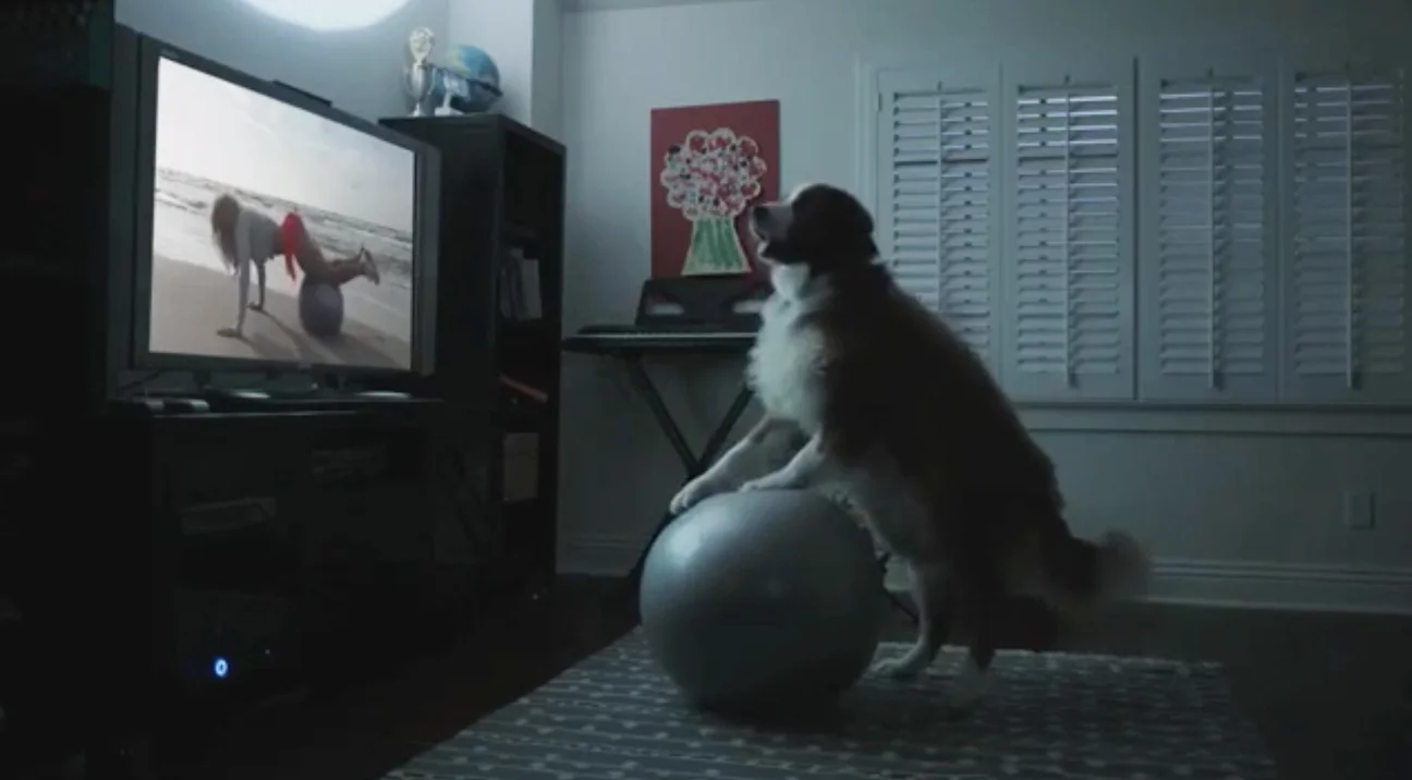 DOG STRIKES BACK.jpg