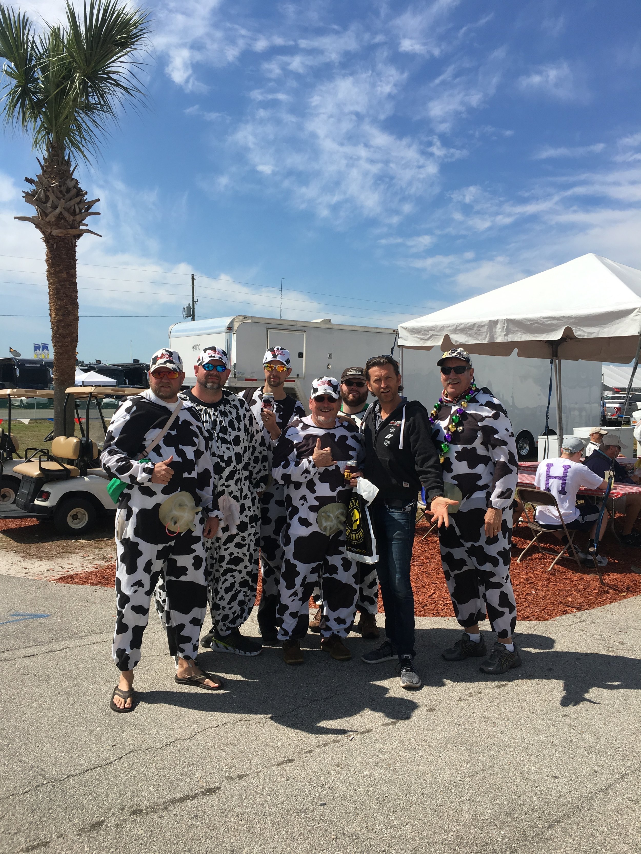 Not long after I had my annual reunion with the 'Cows' that always make an appearance at Sebring (they are apparently sensible intelligent and successful people outside of this weekend). So they tell me.