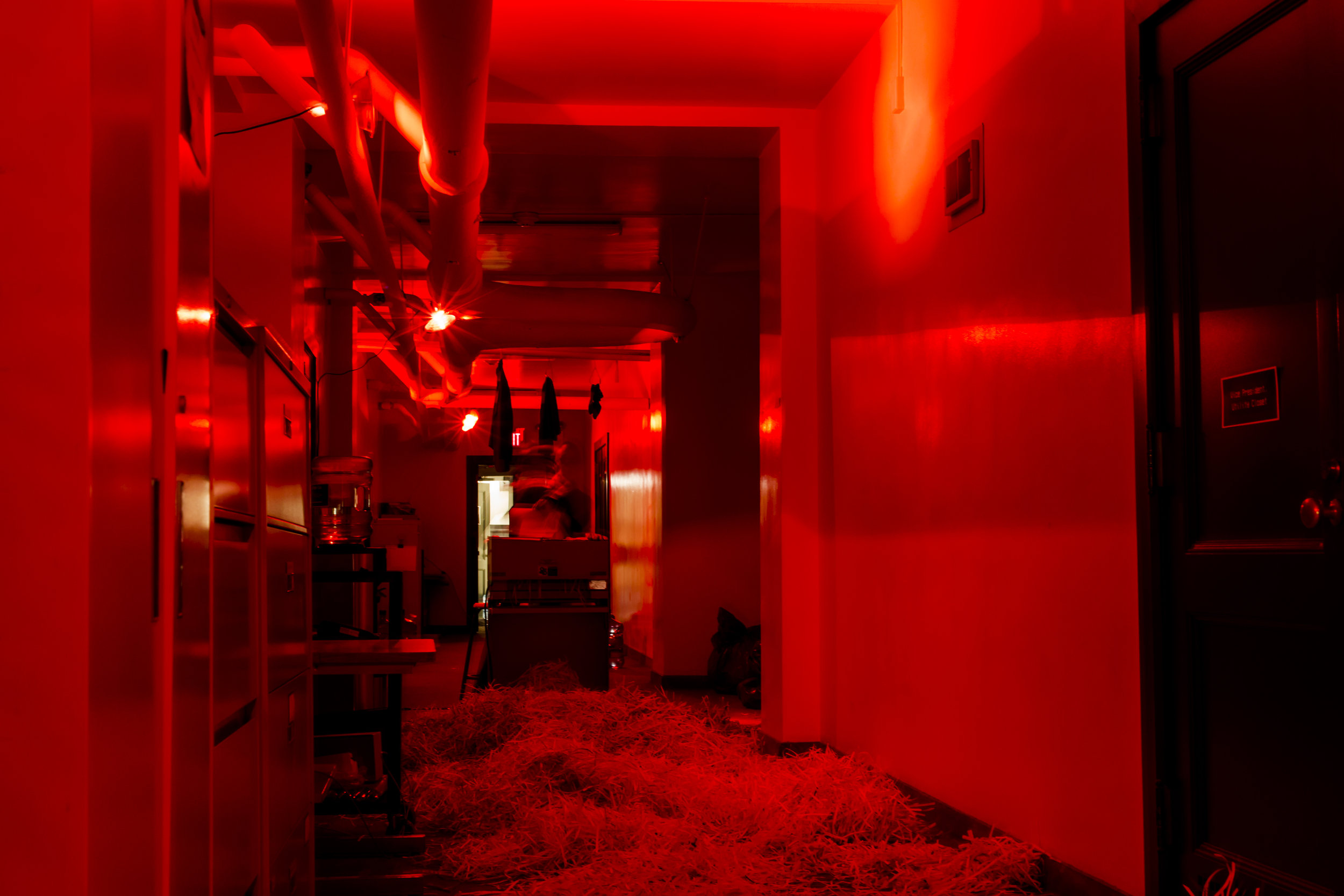 MemoryArchive-Coagulatio_1.jpg