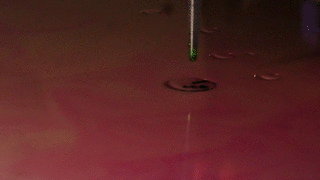 Test_Milk:Paint.gif