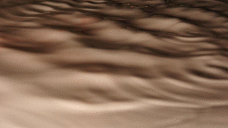 Test_Milk.gif