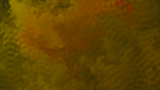 Test_Paint 2.gif