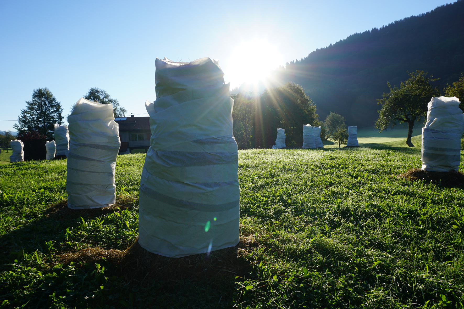 sorg_Allgäu_morgens_01_©Katja_v_Ruville.jpg