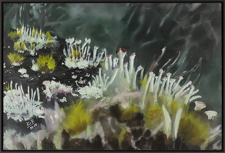  Katja von Ruville Flechten 2018 Öl auf Leinwand / oil on canvas 75 × 50 cm 1200,– € (inkl. Rahmen / incl. frame)  Verkauf:  vonruville@grassgruen.info  