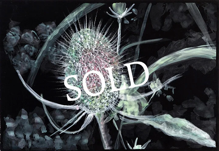  Katja von Ruville Naturstudie »Distel« 2019 25 × 17 cm Pigmente, Dispersionsbinder auf Scherenschnittpapier | pigments, liant on paper 