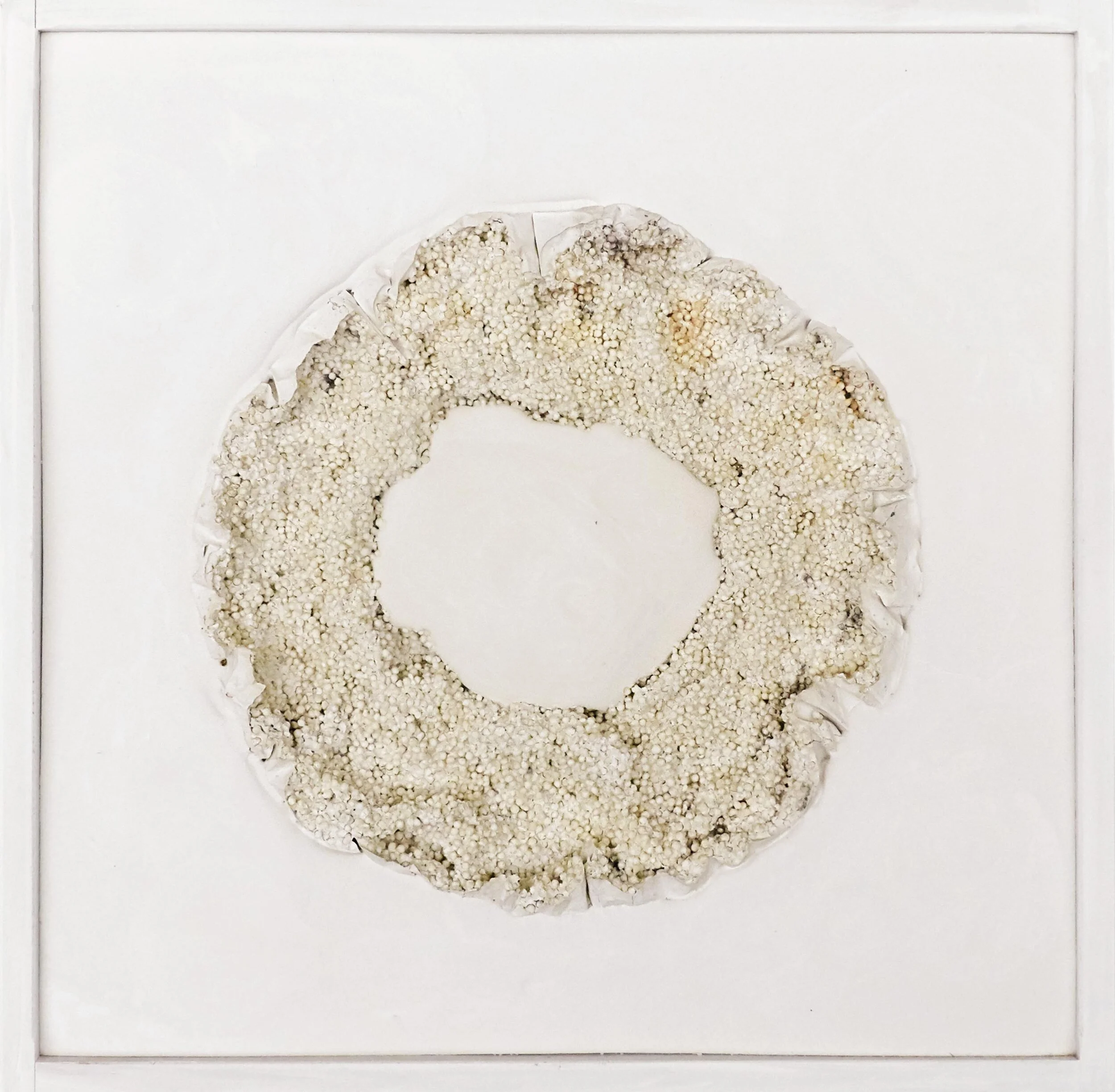  Katja von Ruville Quadratserie 04 2014 30 × 30 cm Gips, Tapioca, Holz | plaster, tapioca, wood 350,– €  Verkauf:  vonruville@grassgruen.info  