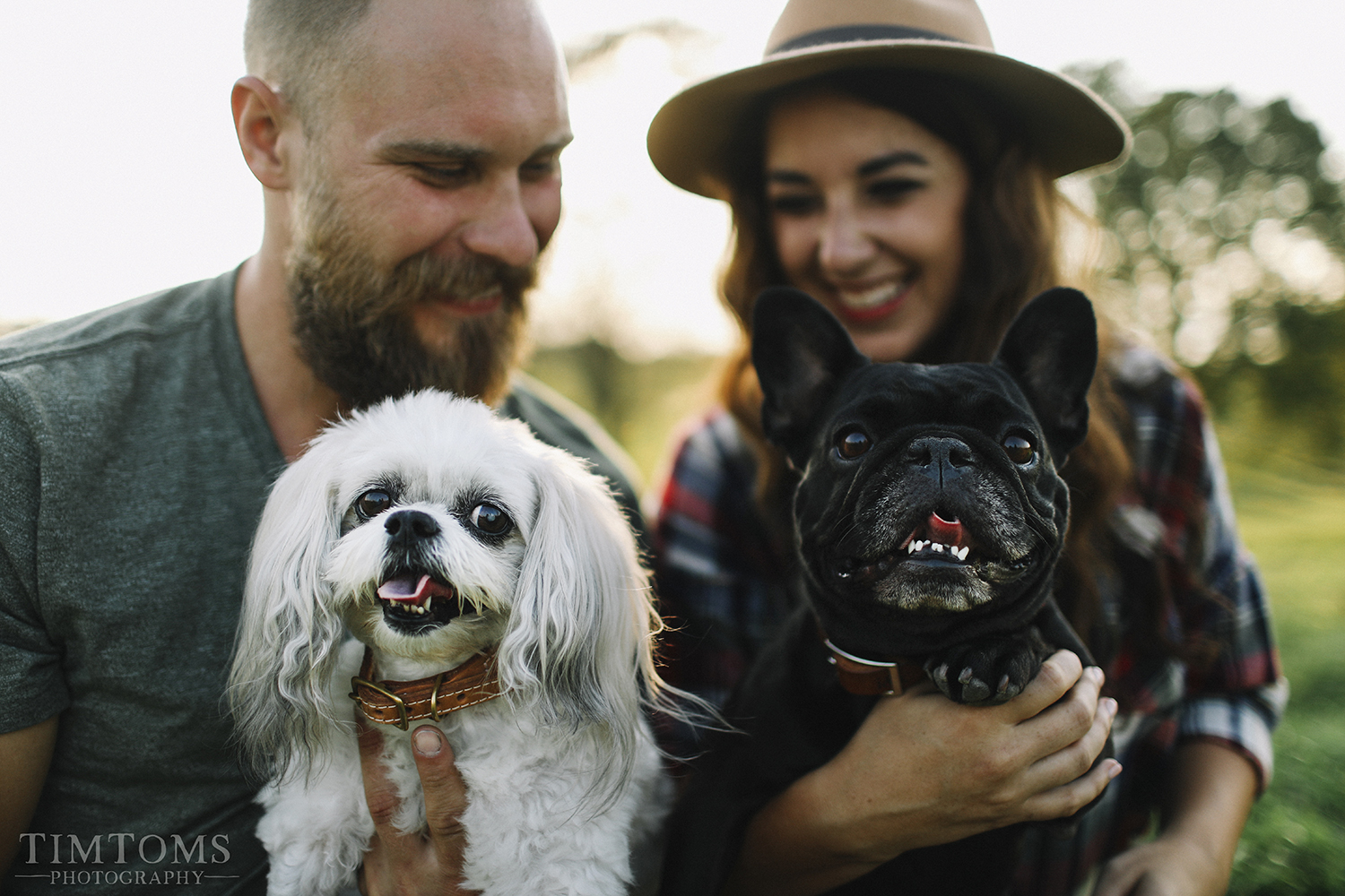  Engagement photography with puppies dogs 