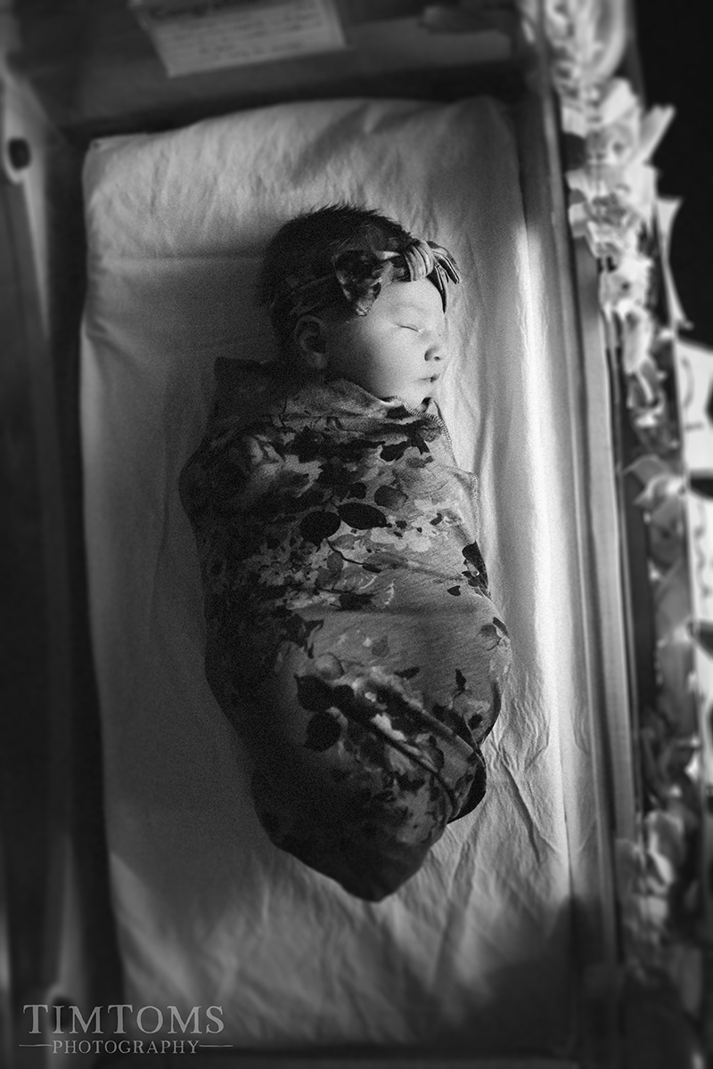 newborn photography fresh 48 photographer joplin mo