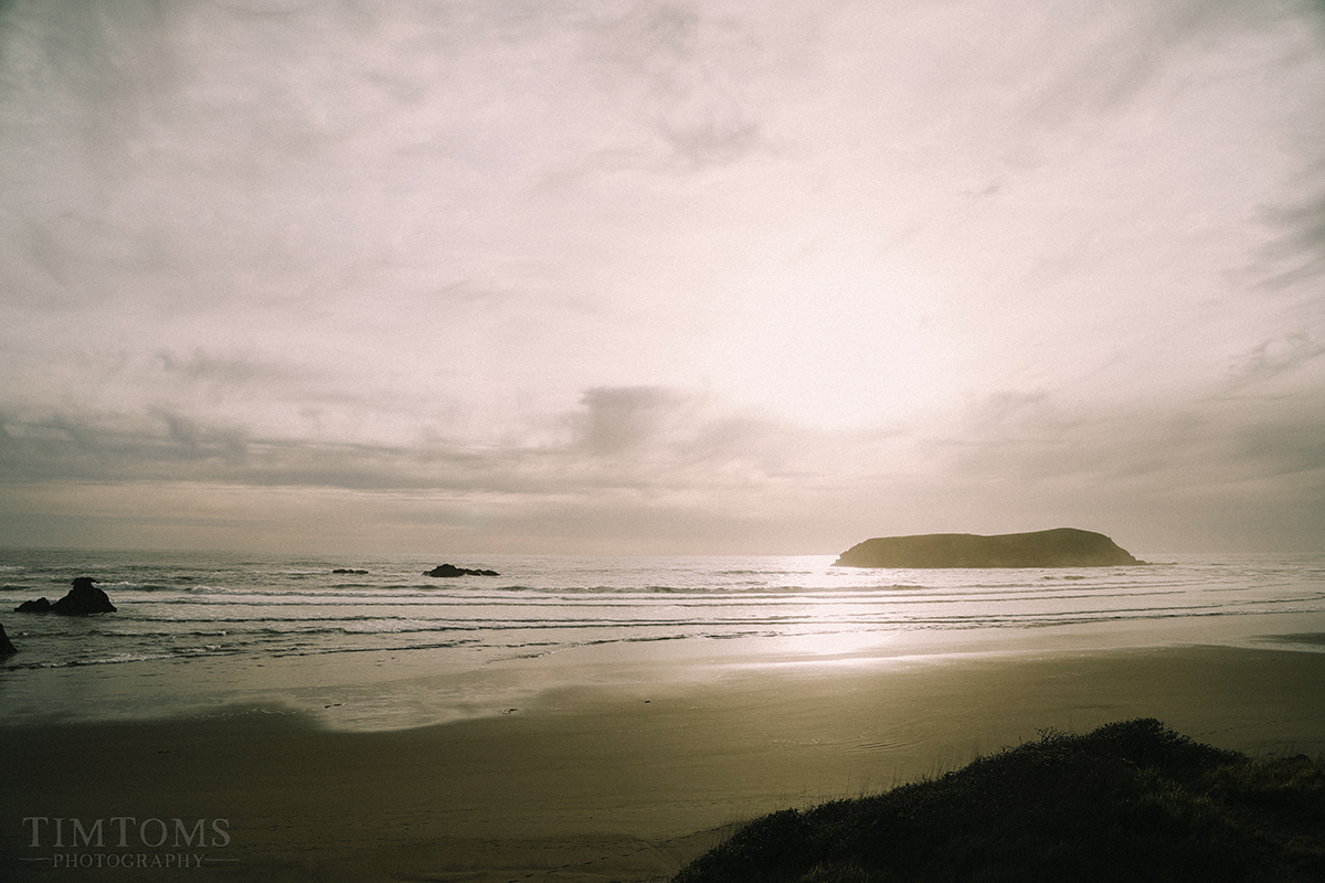  Pacific Northwest Oregon Coast Redwoods Wedding Photographer 