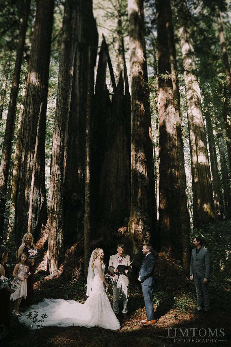  Pacific Northwest Oregon Coast Redwoods Wedding Photographer 