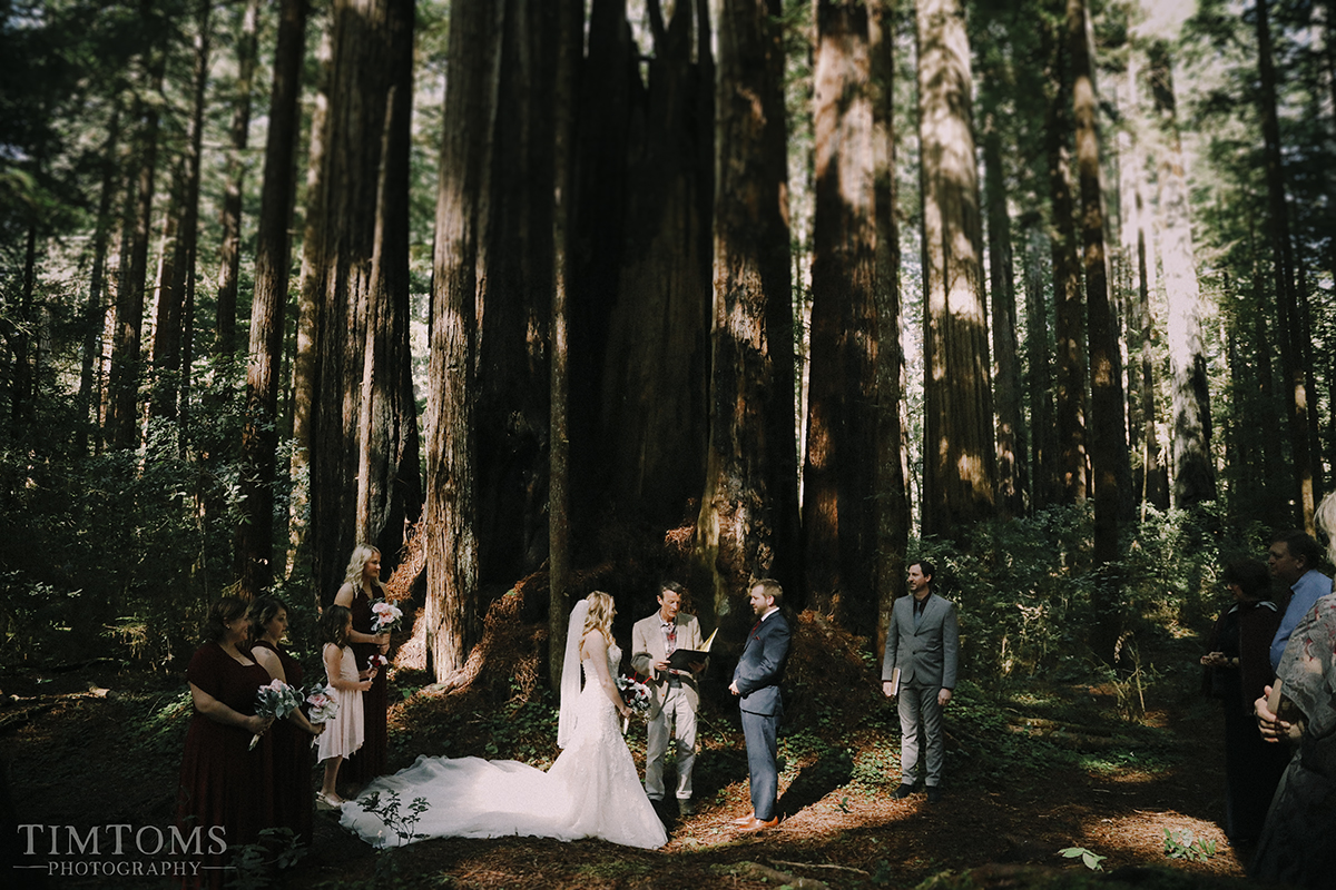  Pacific Northwest Oregon Coast Redwoods Wedding Photographer 