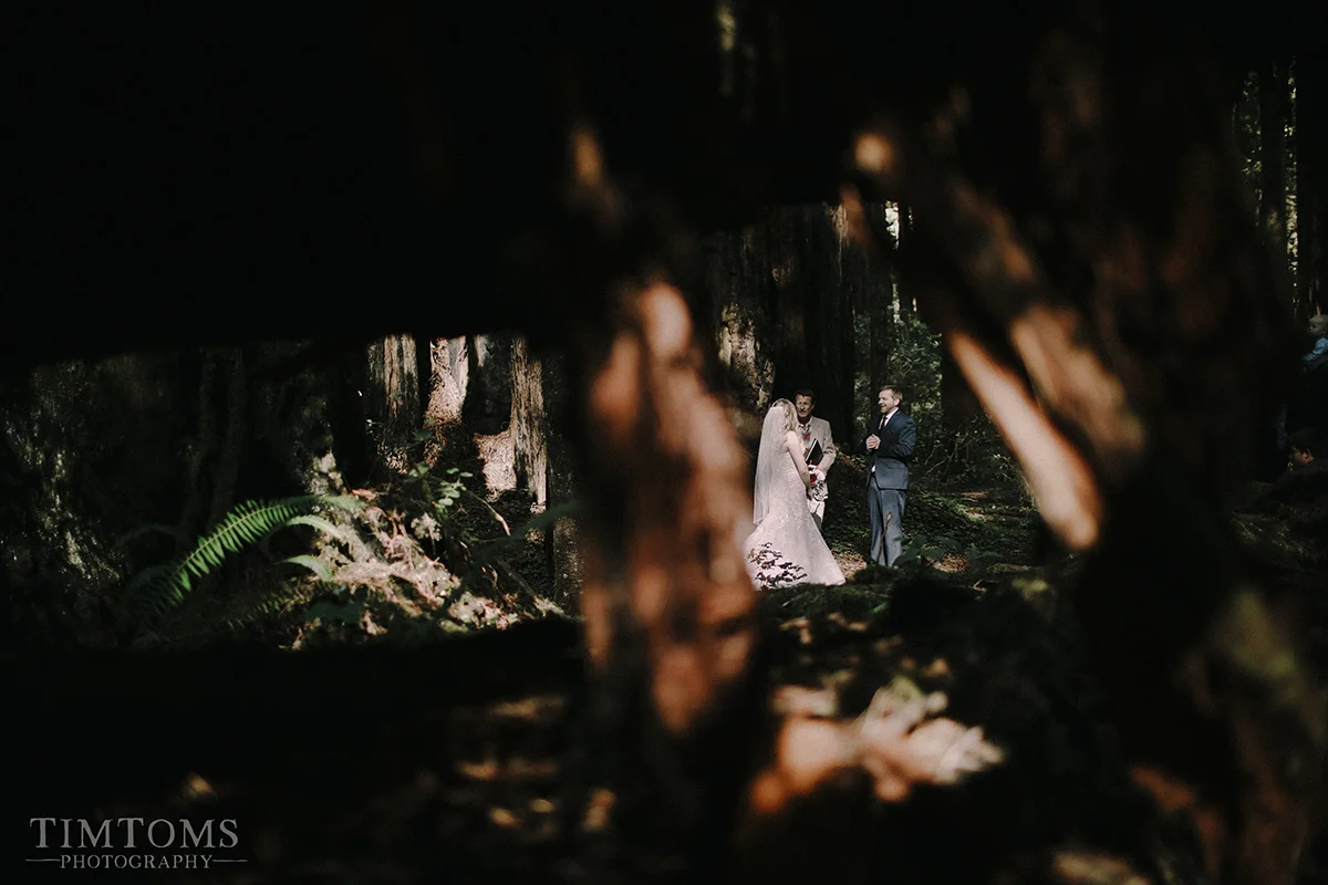 Pacific Northwest Oregon Coast Redwoods Wedding Photographer