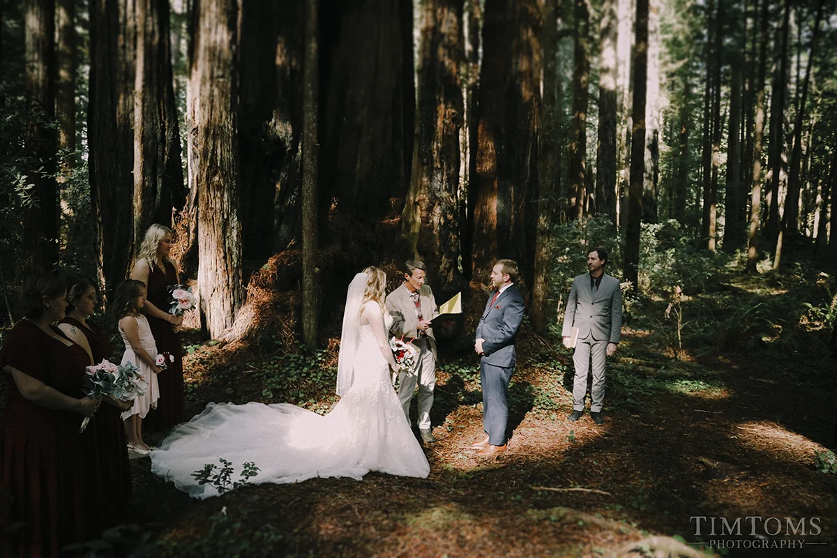 Pacific Northwest Oregon Coast Redwoods Wedding Photographer