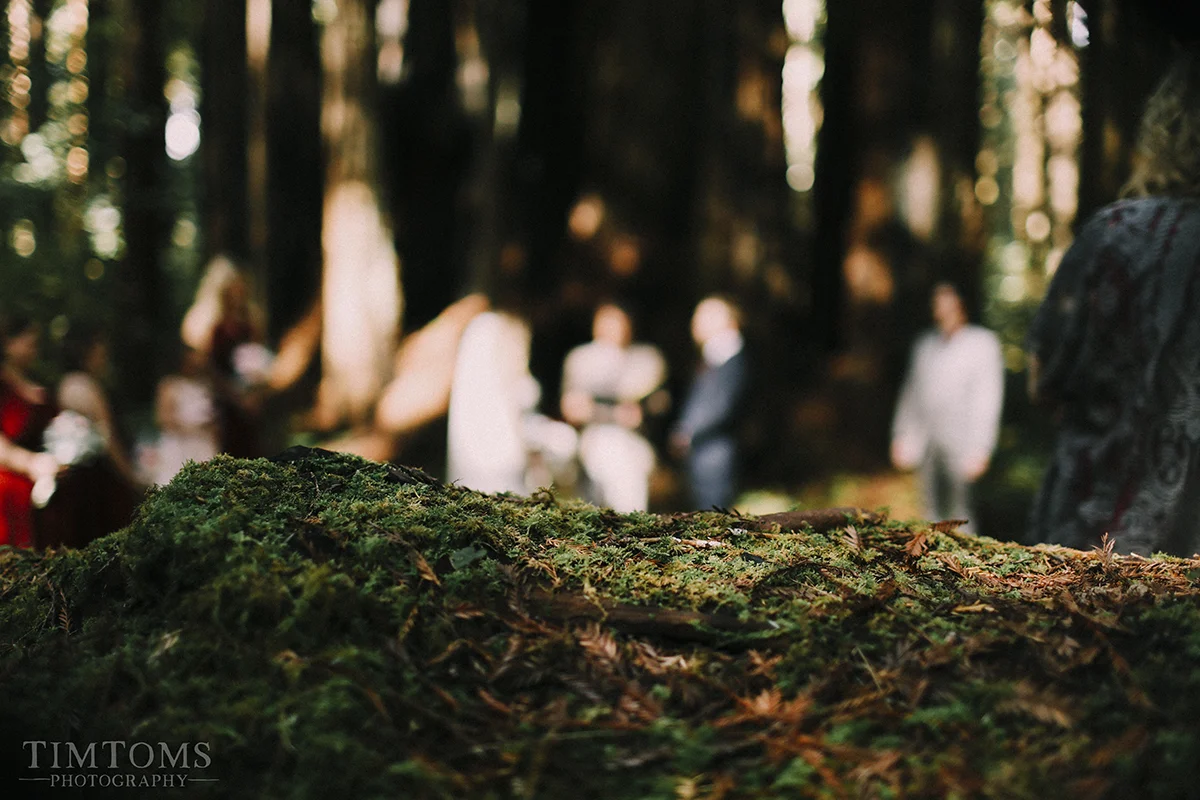 Pacific Northwest Oregon Coast Redwoods Wedding Photographer