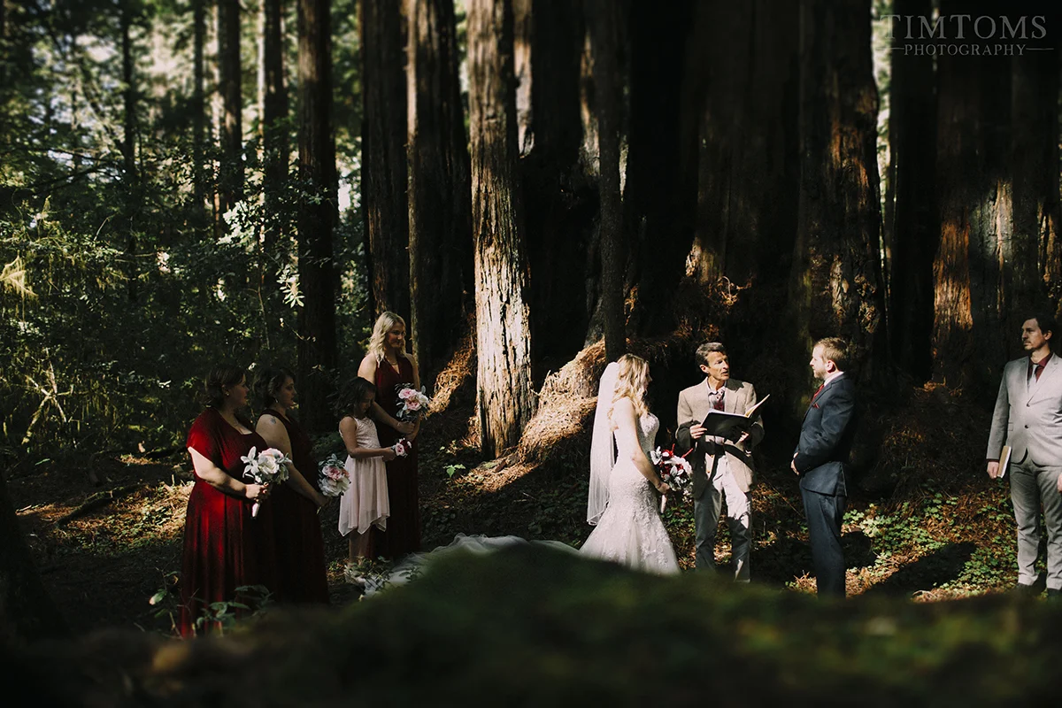 Pacific Northwest Oregon Coast Redwoods Wedding Photographer