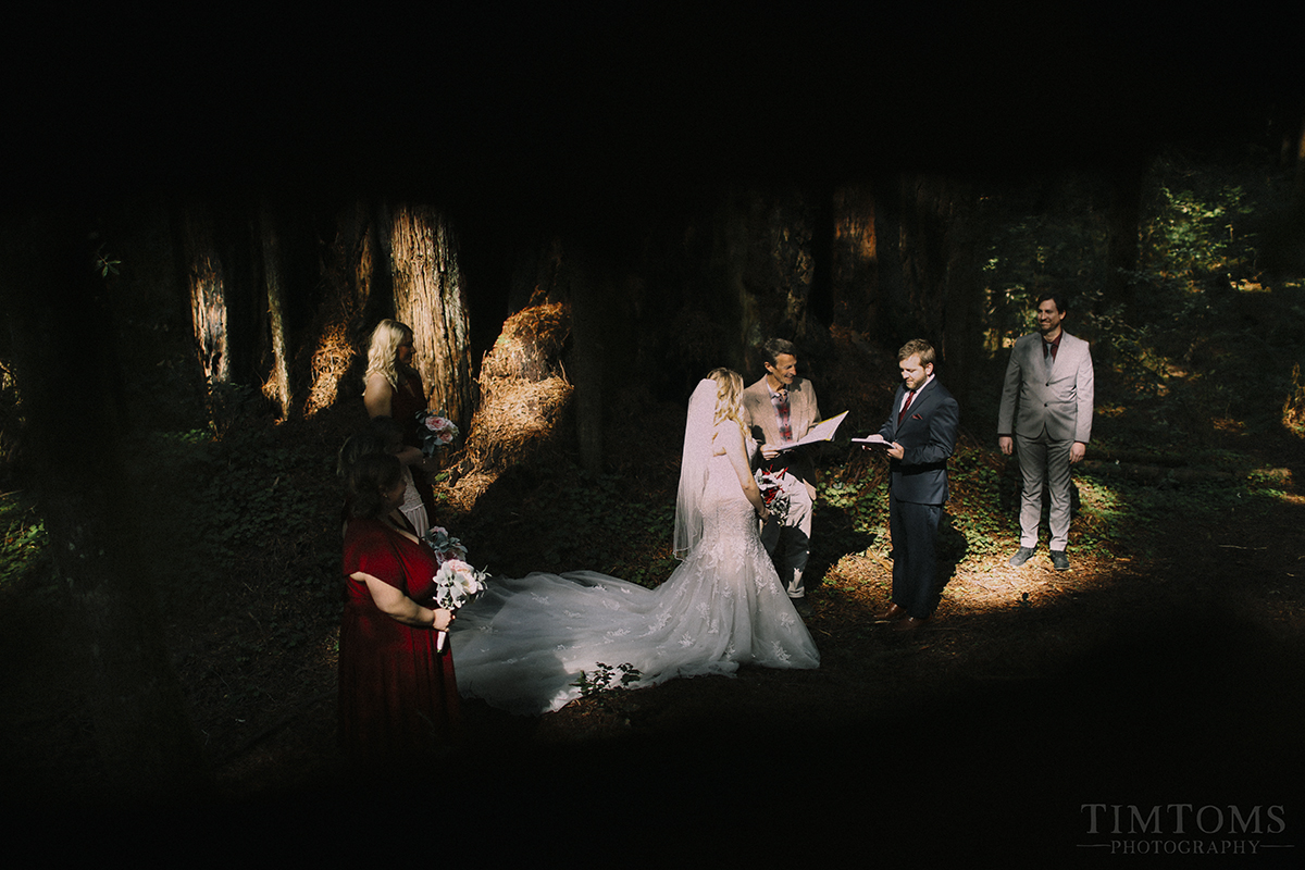  Pacific Northwest Oregon Coast Redwoods Wedding Photographer 