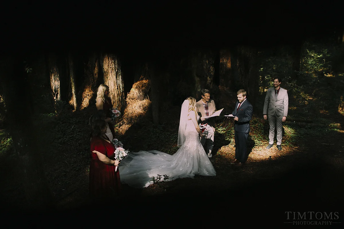Pacific Northwest Oregon Coast Redwoods Wedding Photographer