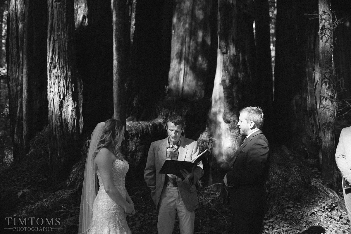 Pacific Northwest Oregon Coast Redwoods Wedding Photographer