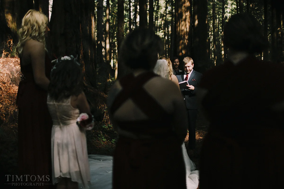 Pacific Northwest Oregon Coast Redwoods Wedding Photographer