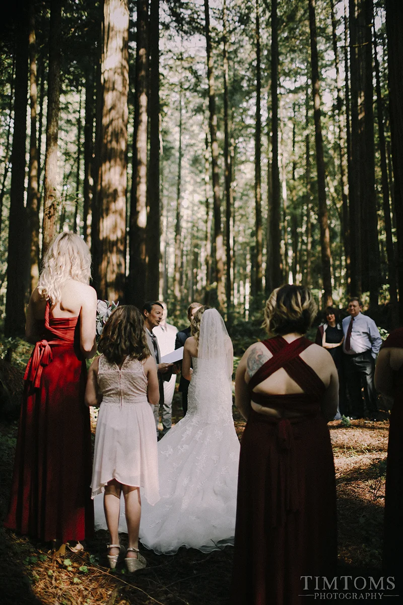 Pacific Northwest Oregon Coast Redwoods Wedding Photographer