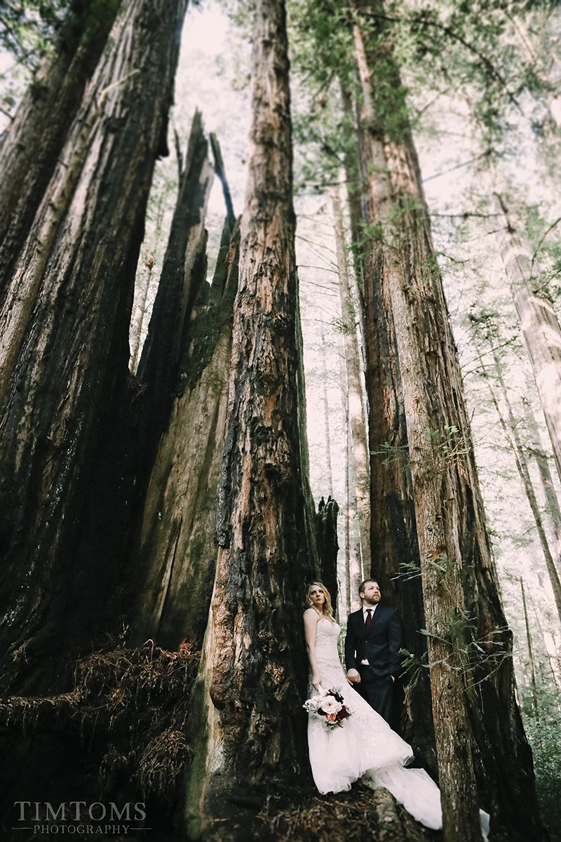 Pacific Northwest Oregon Coast Redwoods Wedding Photographer