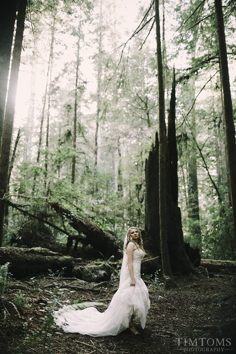  Bride in the Redwood Forest Wedding 