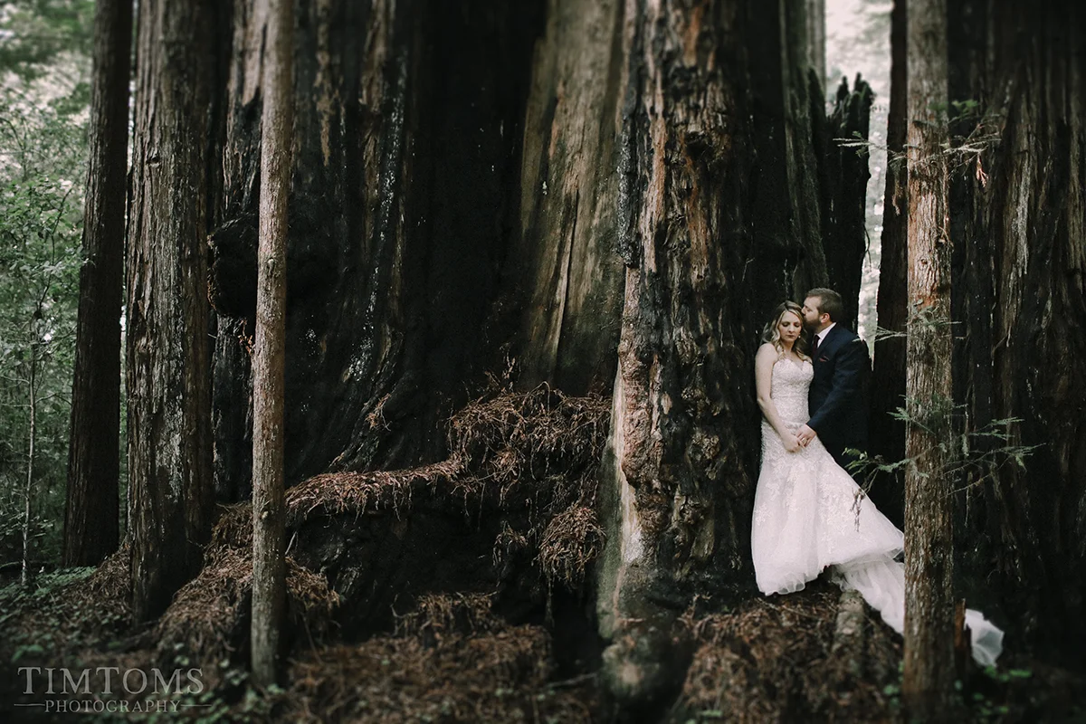 pacific northwest coast wedding photographer oregon california