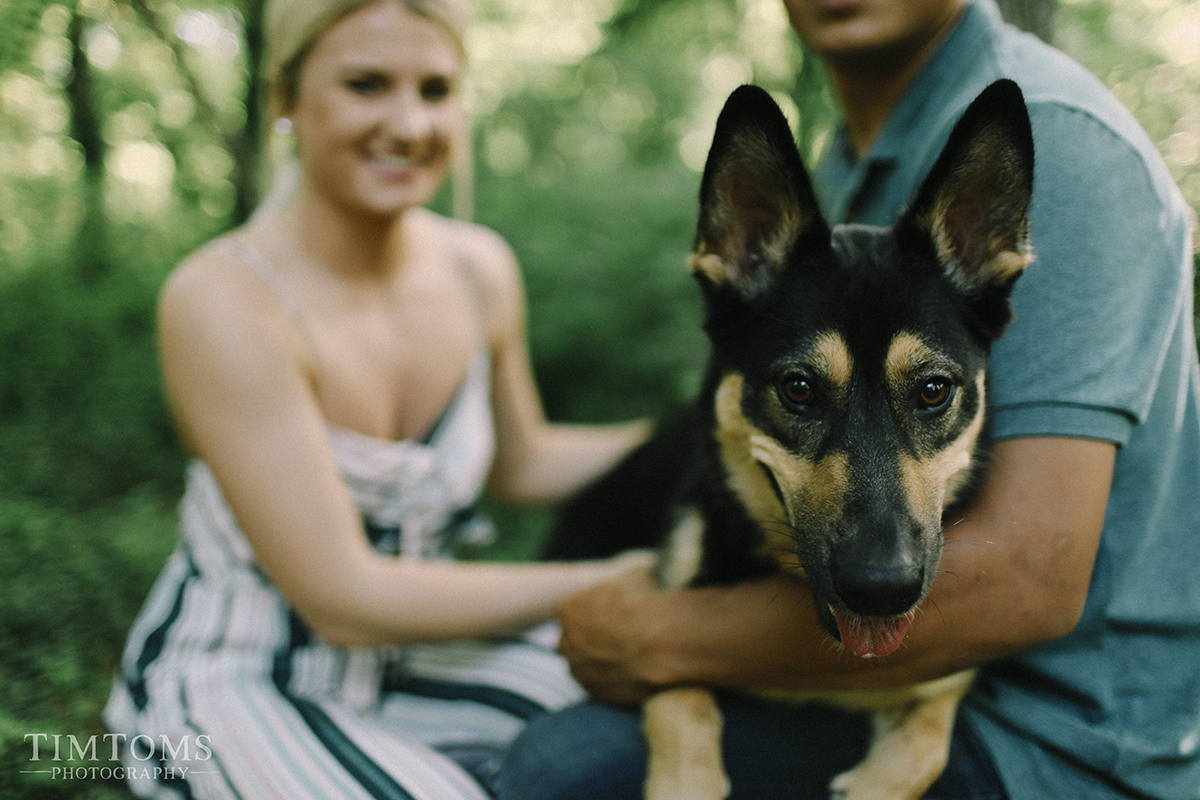  engagement photographer fayetteville arkansas 