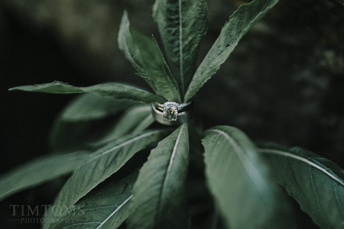 kansas city wedding photography