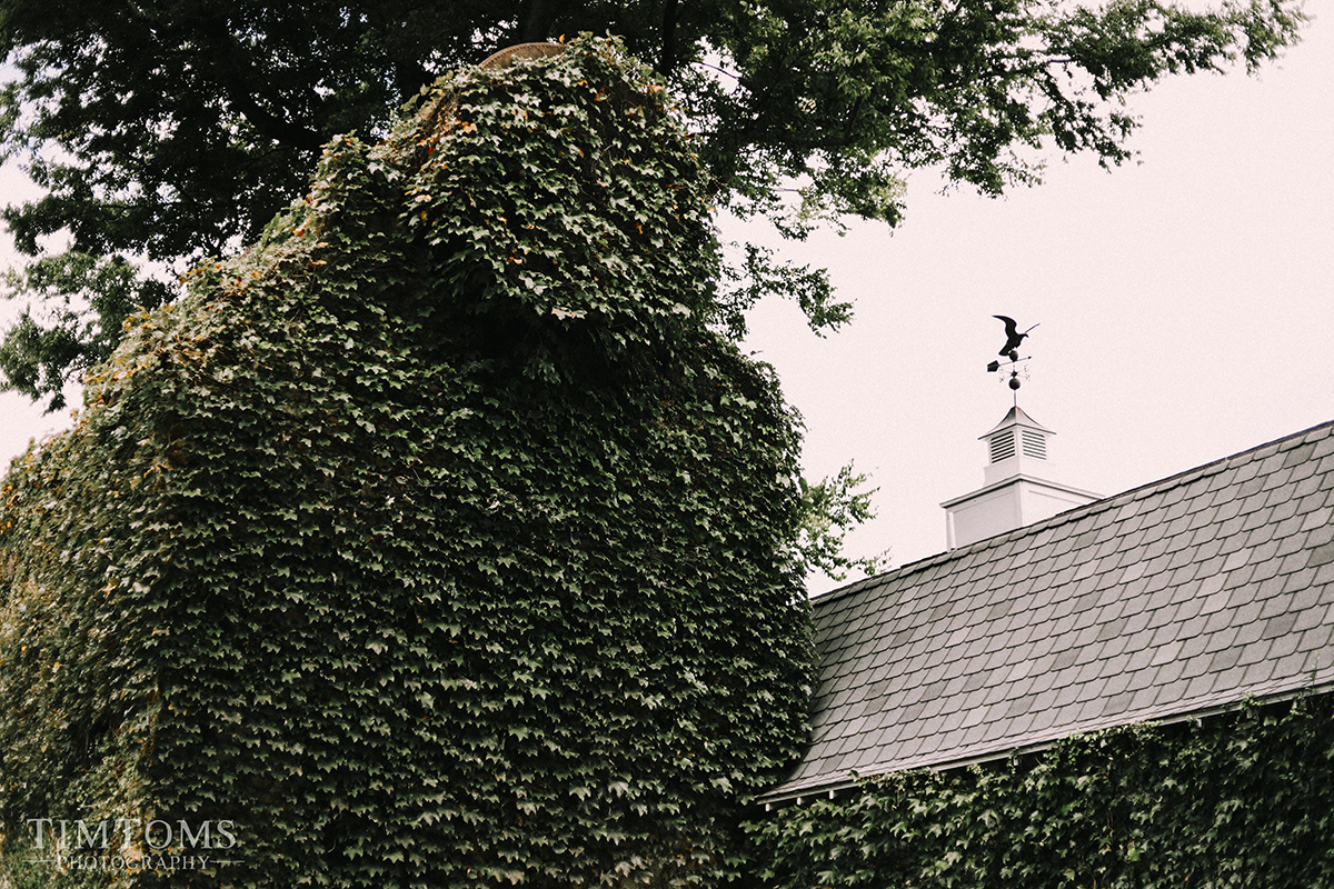 hazeltine estate springfield missouri wedding