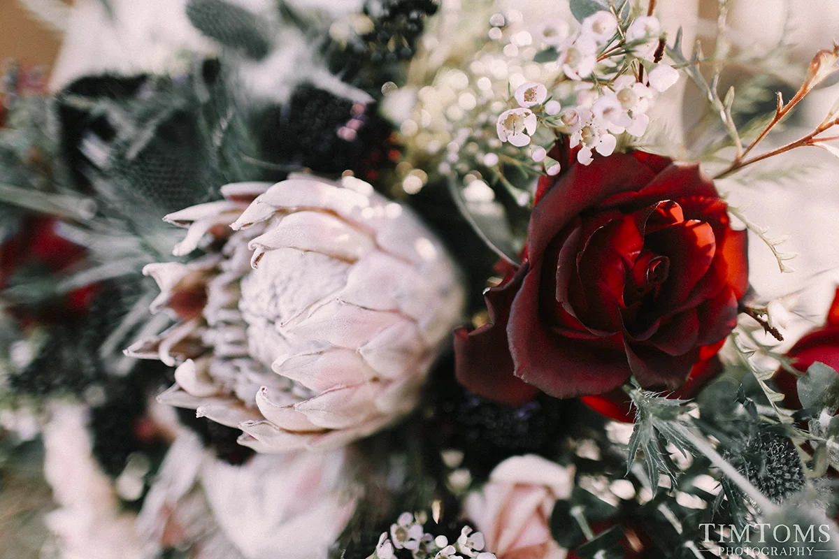 wedding photographer fayetteville arkansas