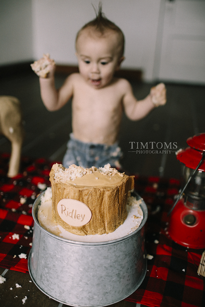  one year old cake smash photographer 