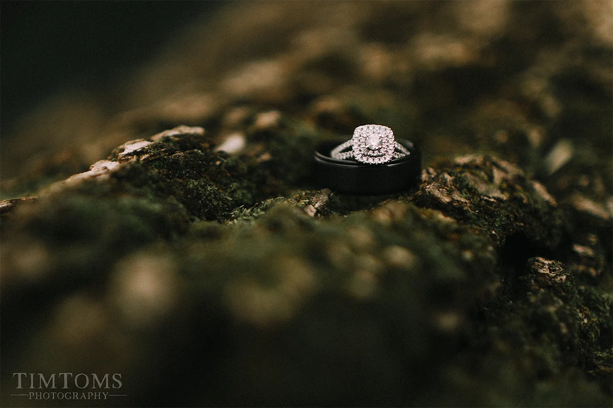 bentonville arkansas wedding photographer