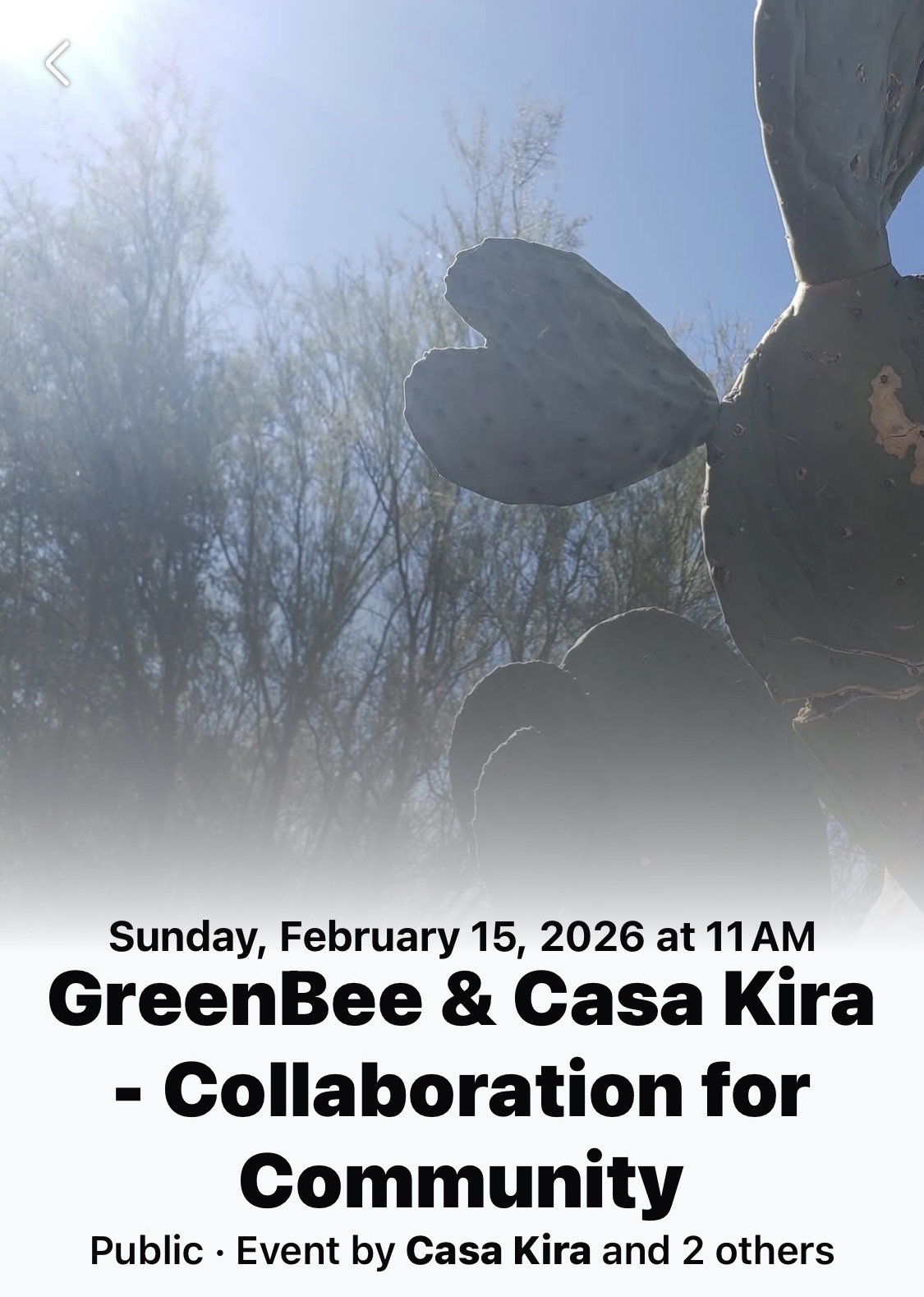 Casa Kira &amp; GreenBee - Collaboration for Community