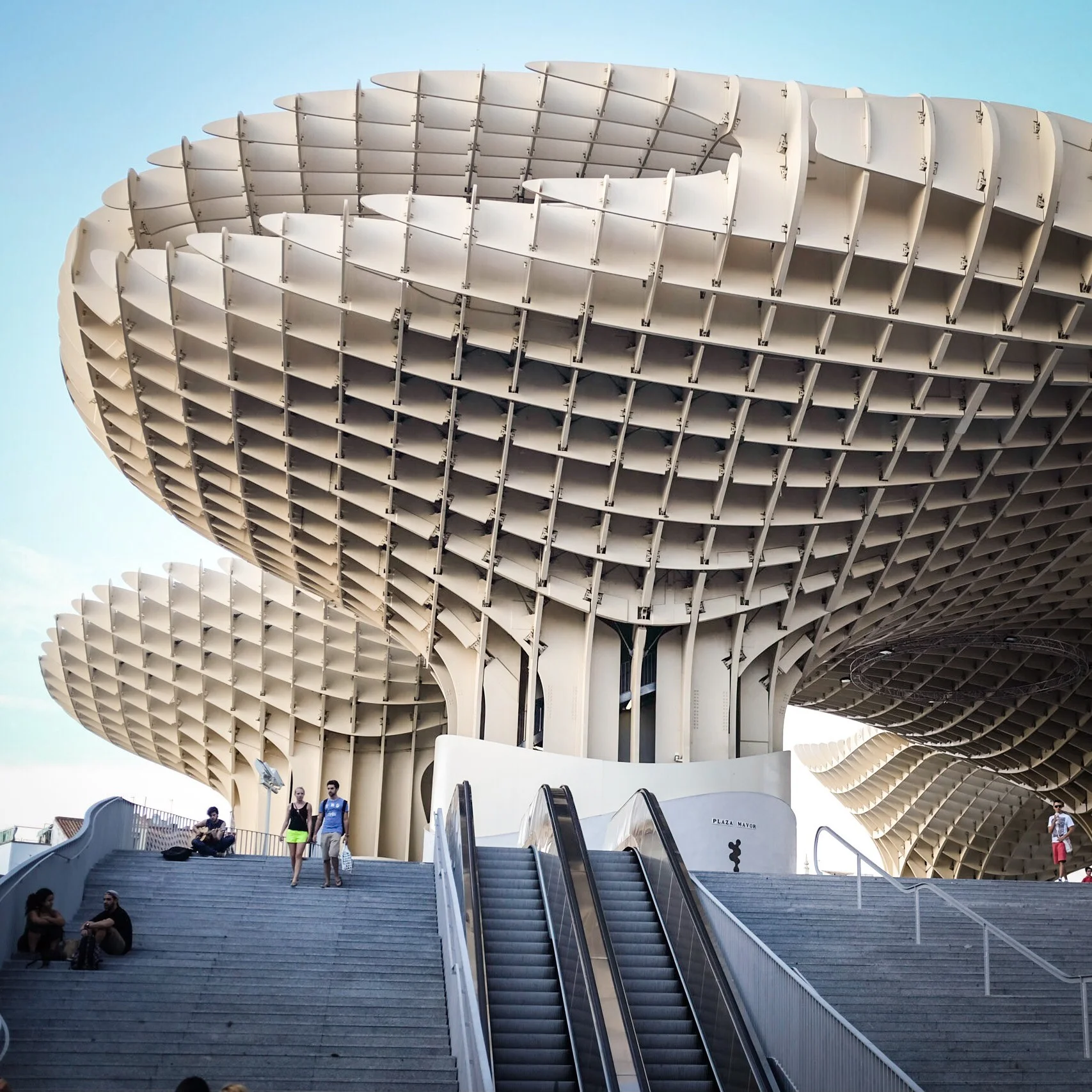 Seville: Civic Mushrooms