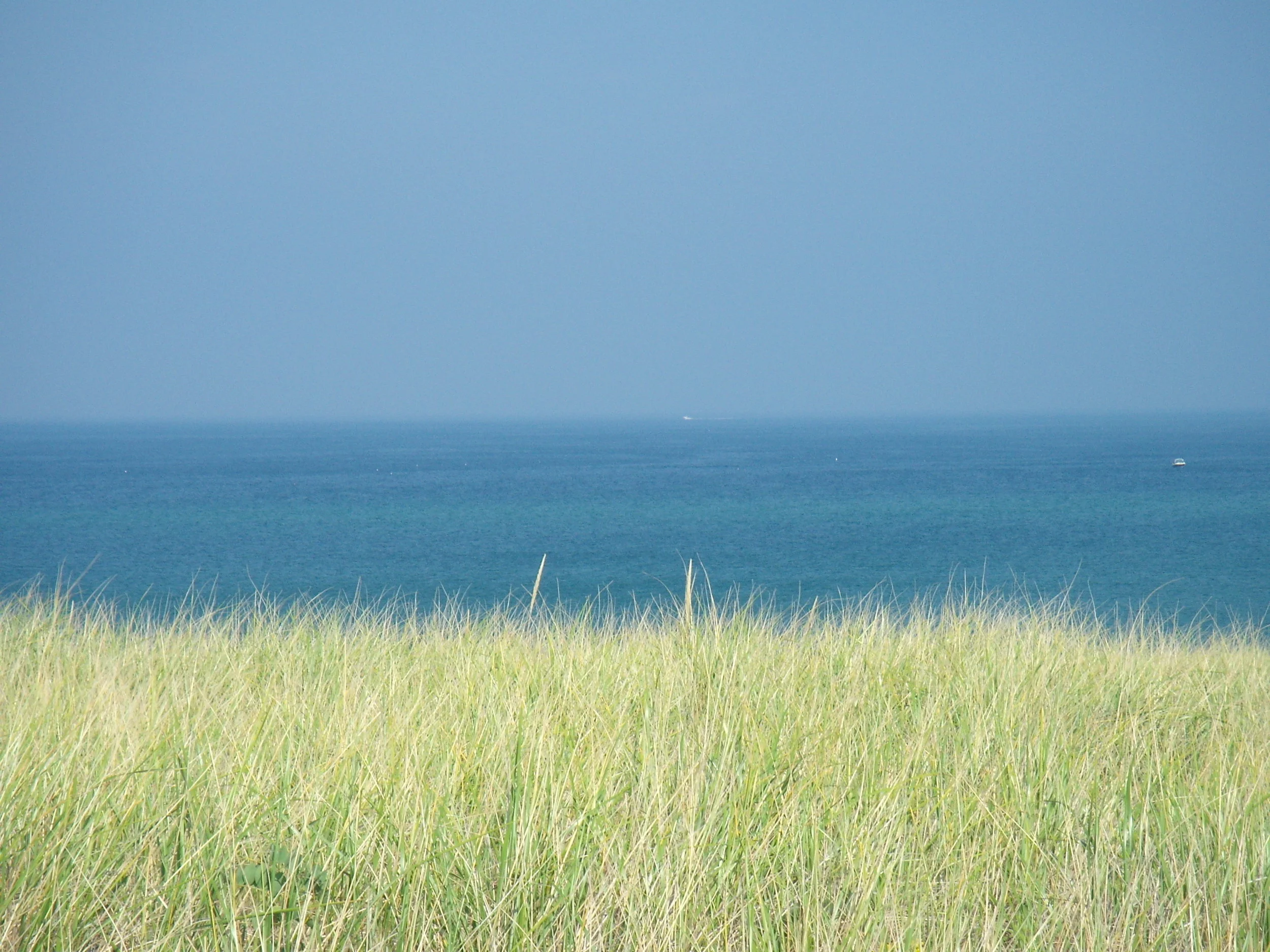 DSCN0511.JPG