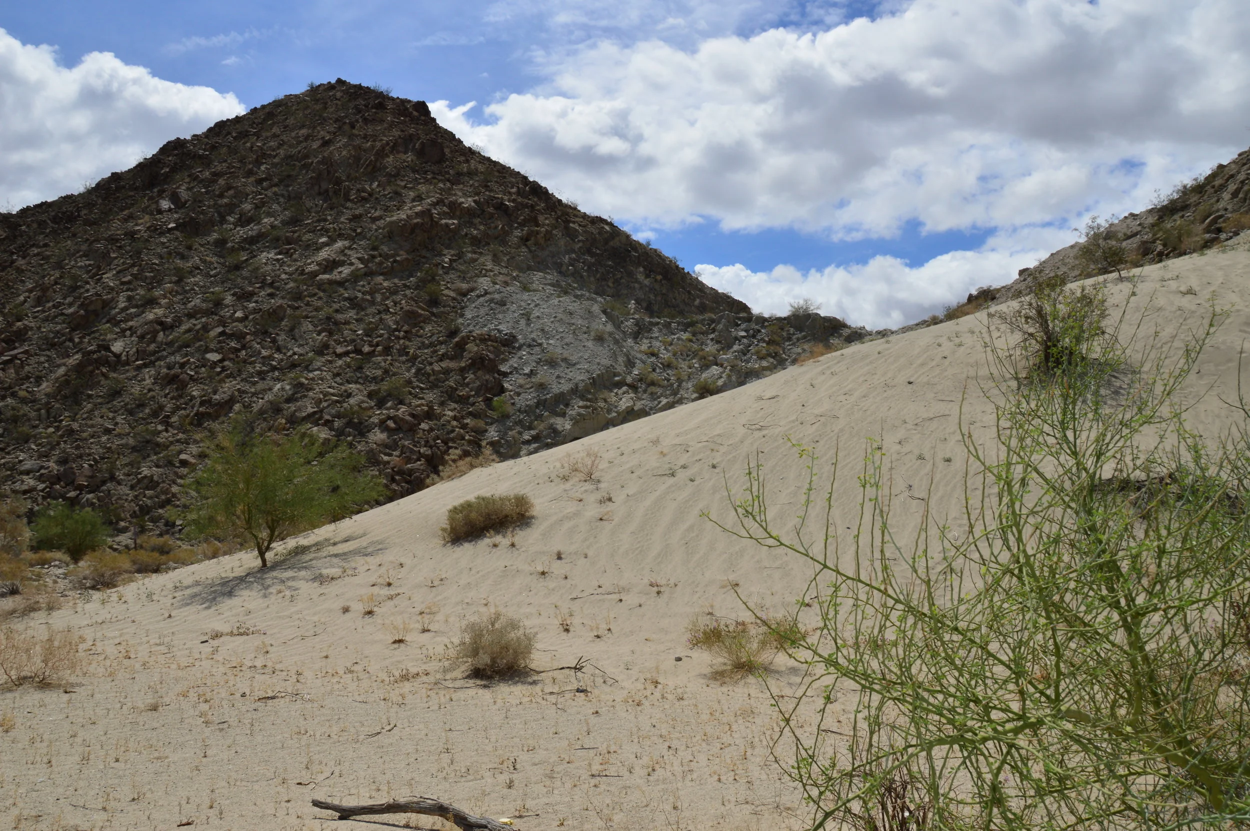 Palm Springs - 1739.JPG